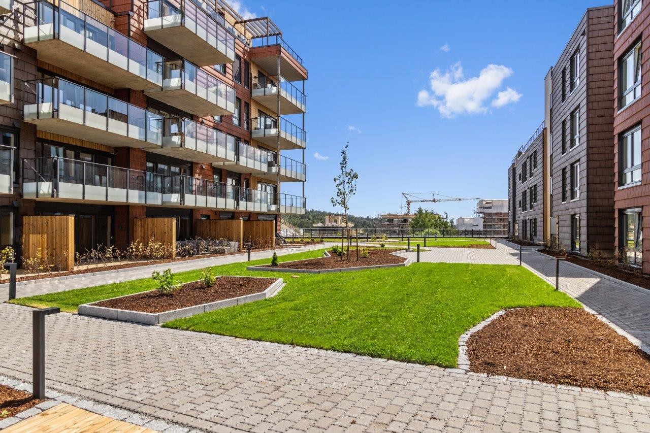Flotte fellesarealer i atrium og på stor takterrasse. Galleribilde