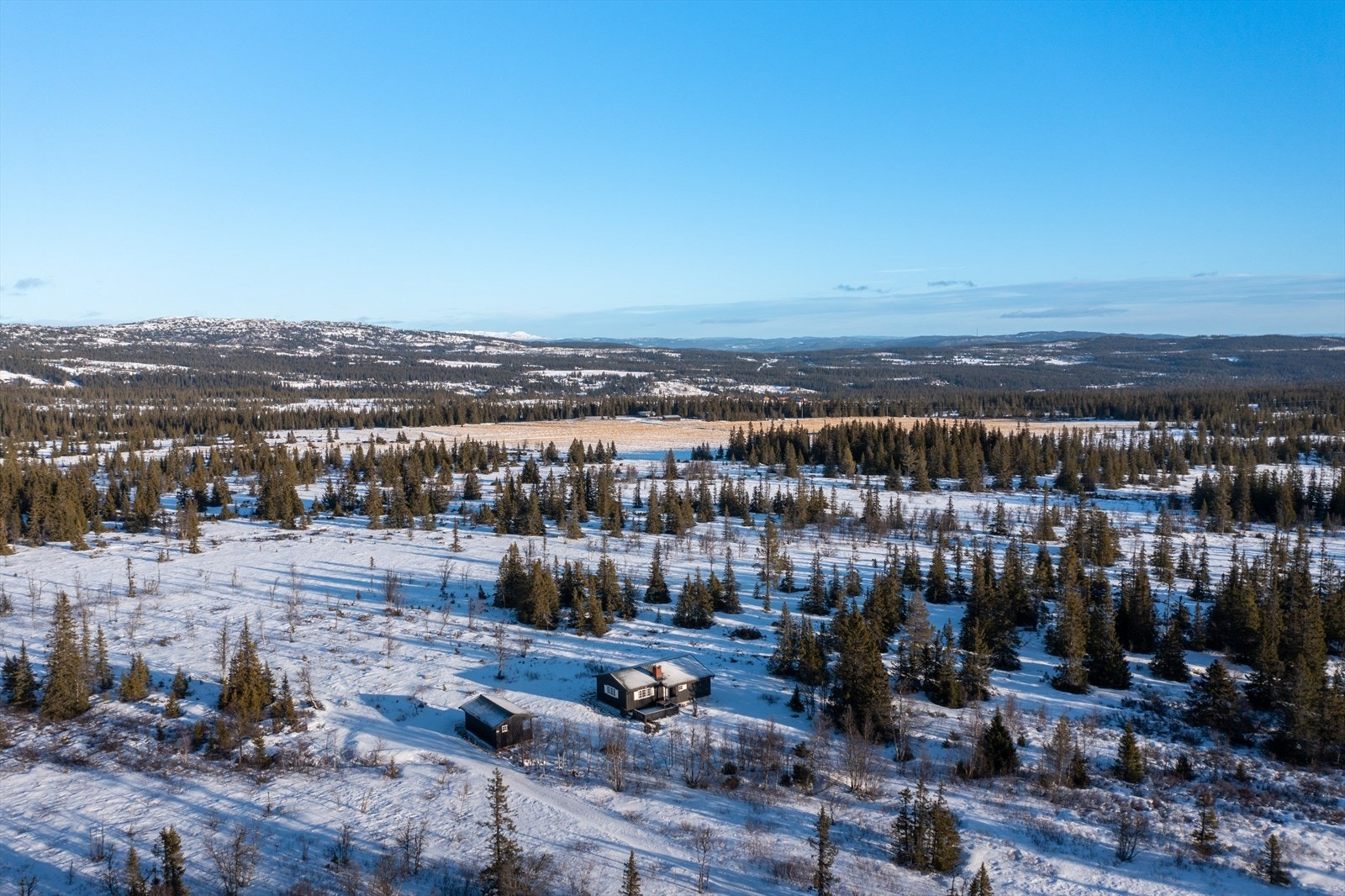 På vinterstid går skisporet rett i bakkant av hytta som tar deg milevis innover fjellheimen. Galleribilde