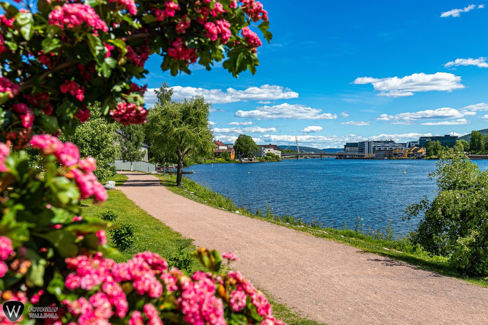 Turveien langs elva er en del av et større turveinett som tar deg helt inn til elvepromenaden og Drammen by. Galleribilde