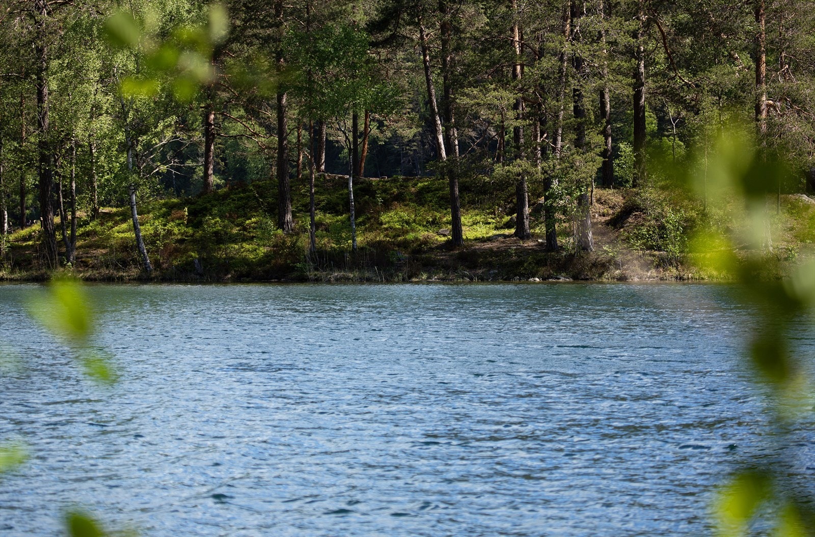 Lutvann har flere små øyer. Vannet er kjent for sin unike klarhet og farge. Galleribilde