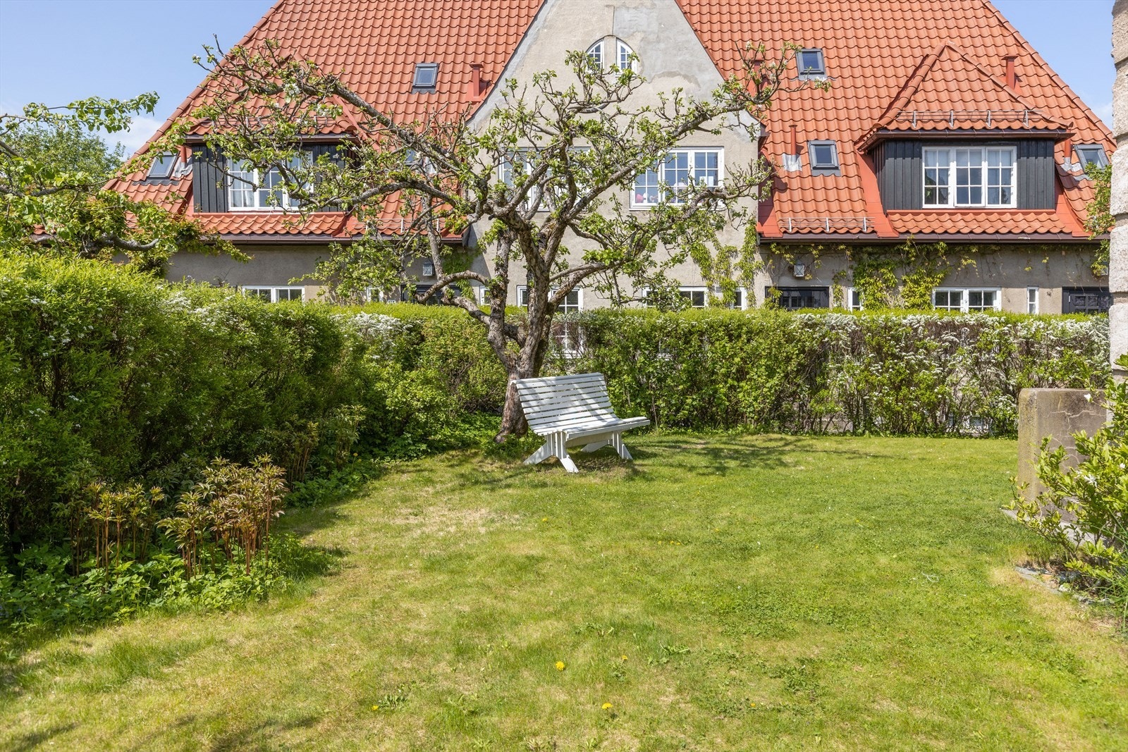 En oase som prydes av grønne vekster. Galleribilde