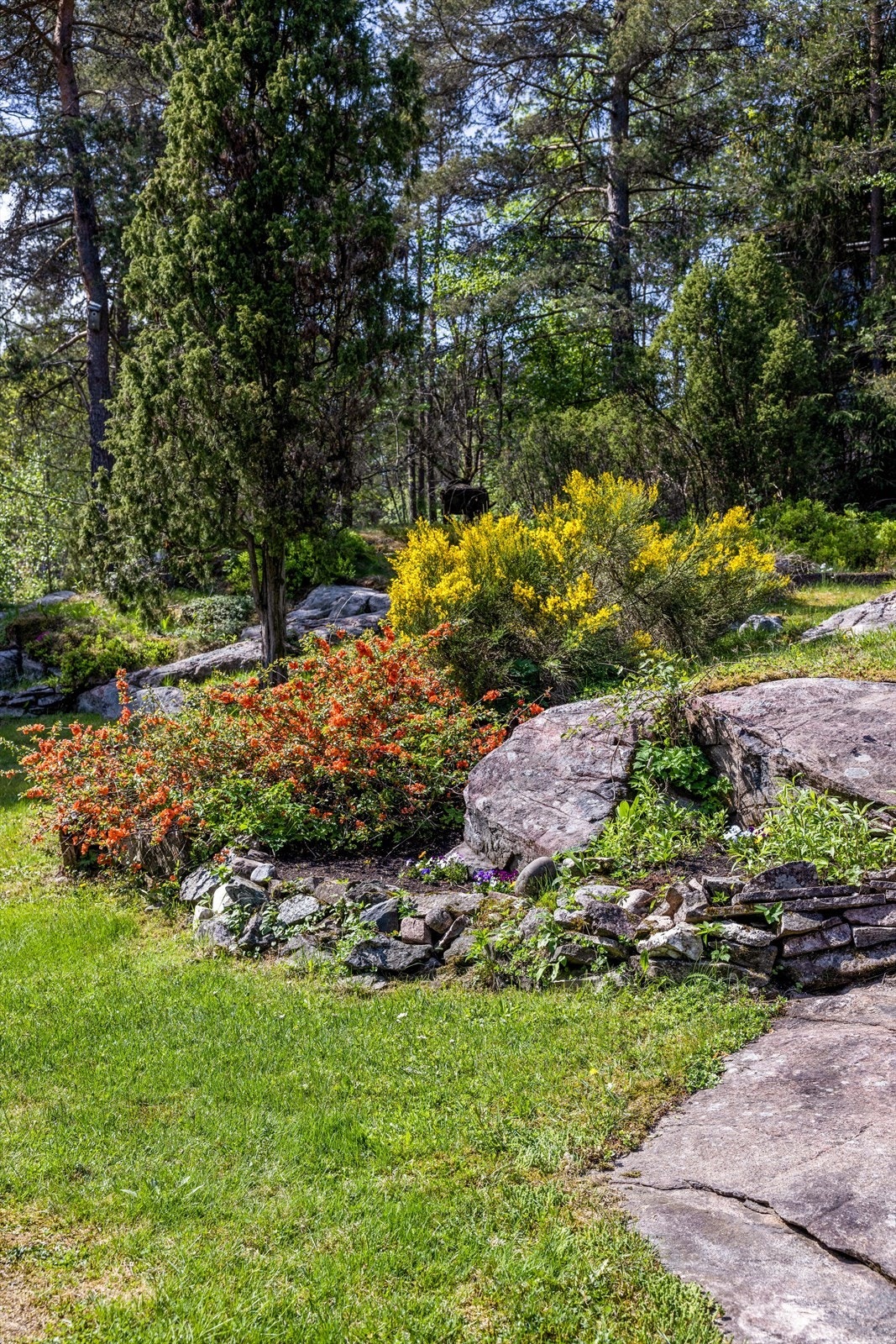 - Ruglapollen 16 - Galleribilde