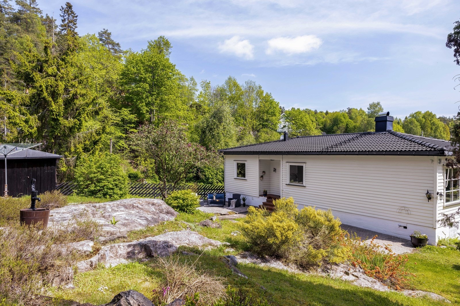 - Ruglapollen 16 - Galleribilde