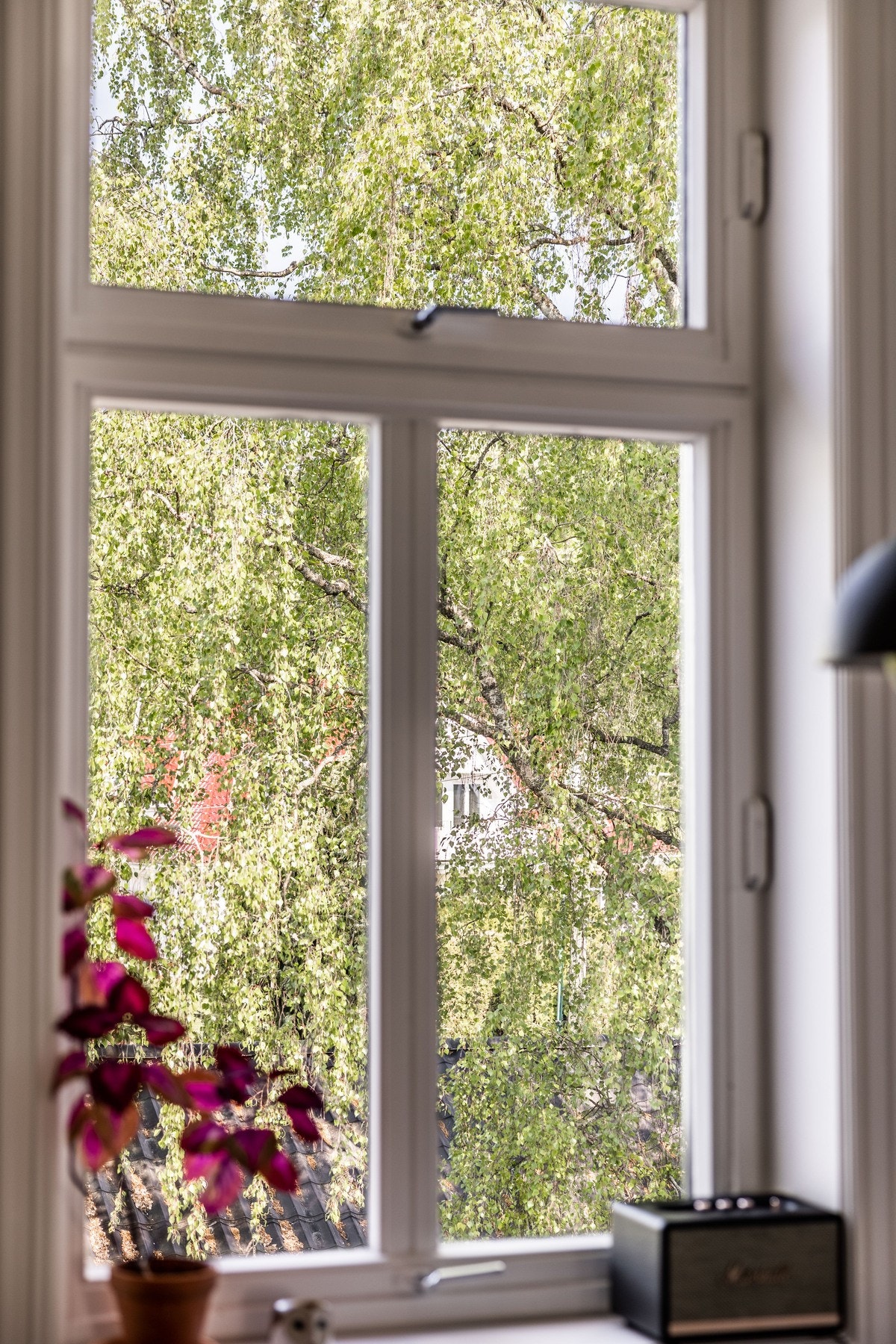 Idyllisk utsyn fra vinduet. Galleribilde
