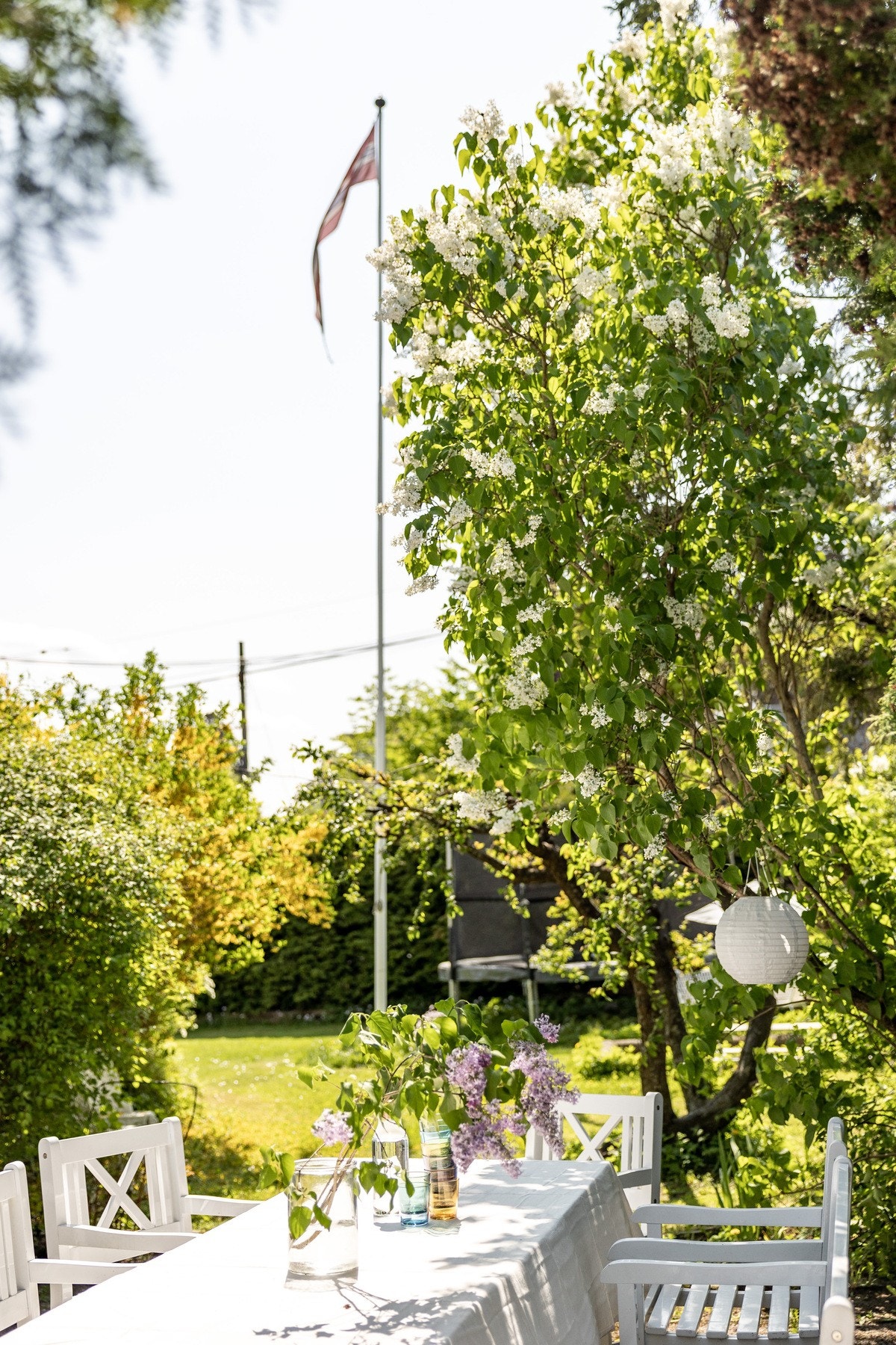 Frodig og grønt. Galleribilde