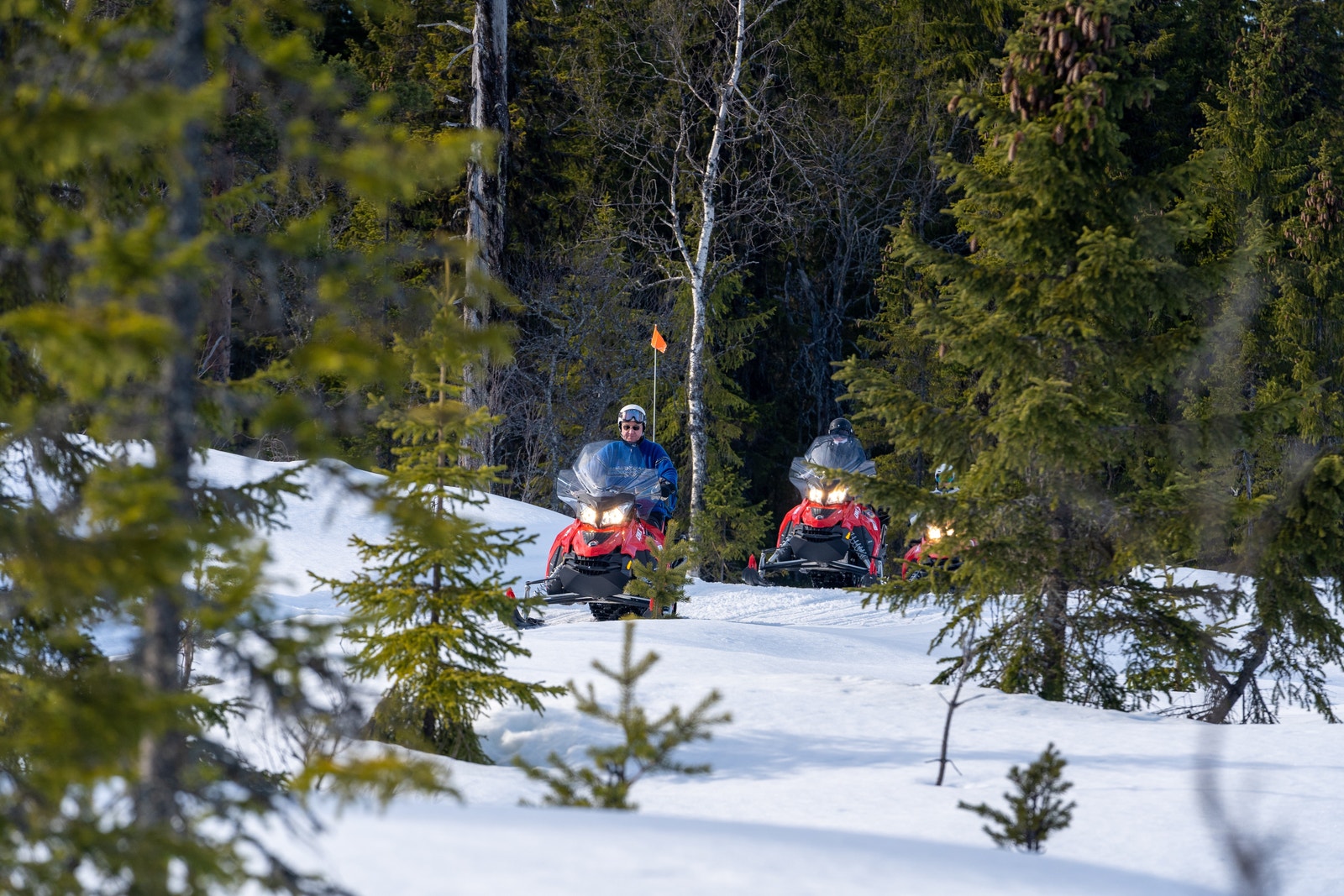 Scooterled i nærheten Galleribilde