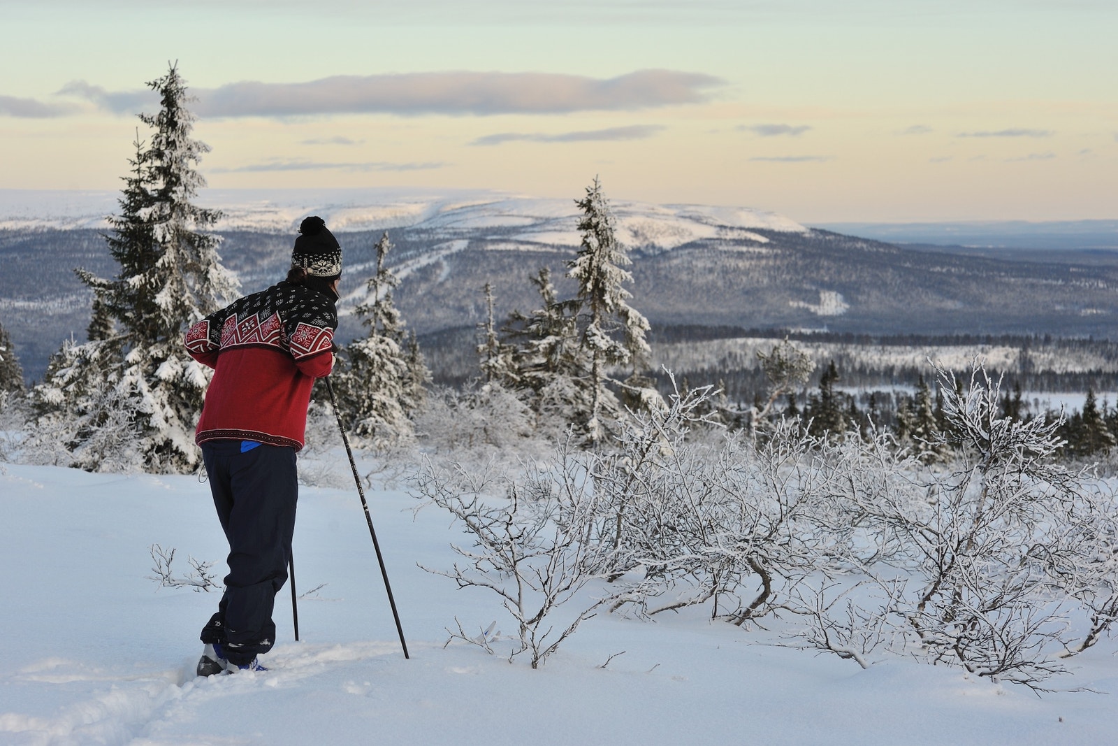90 km med langrennsløyper i nærområdet.
Her fra Holla med utsikt til Fulufjellet. Galleribilde