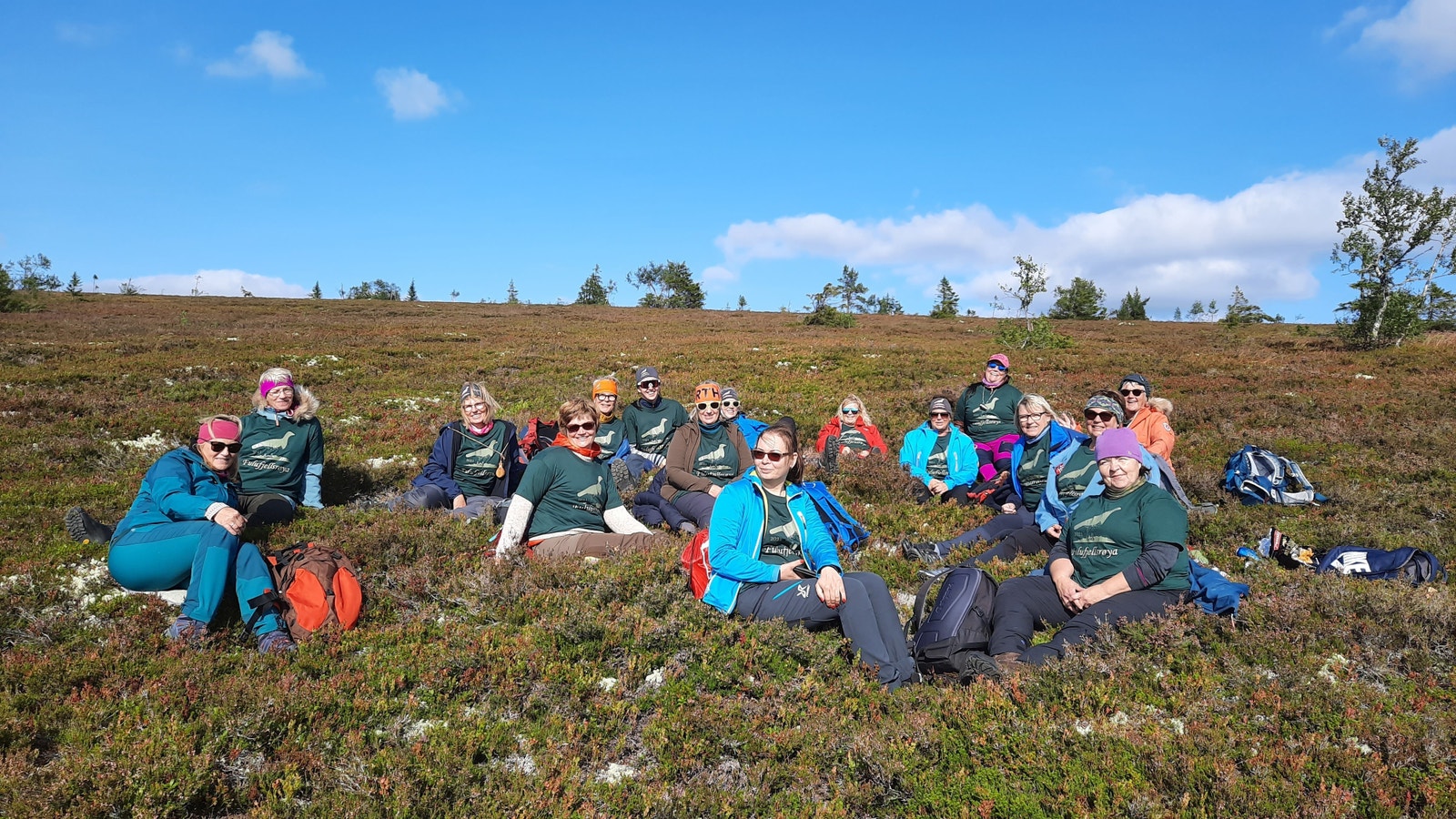 Fra Brynflået i Nasjonalparken.
Lettgått og vakkert. Galleribilde