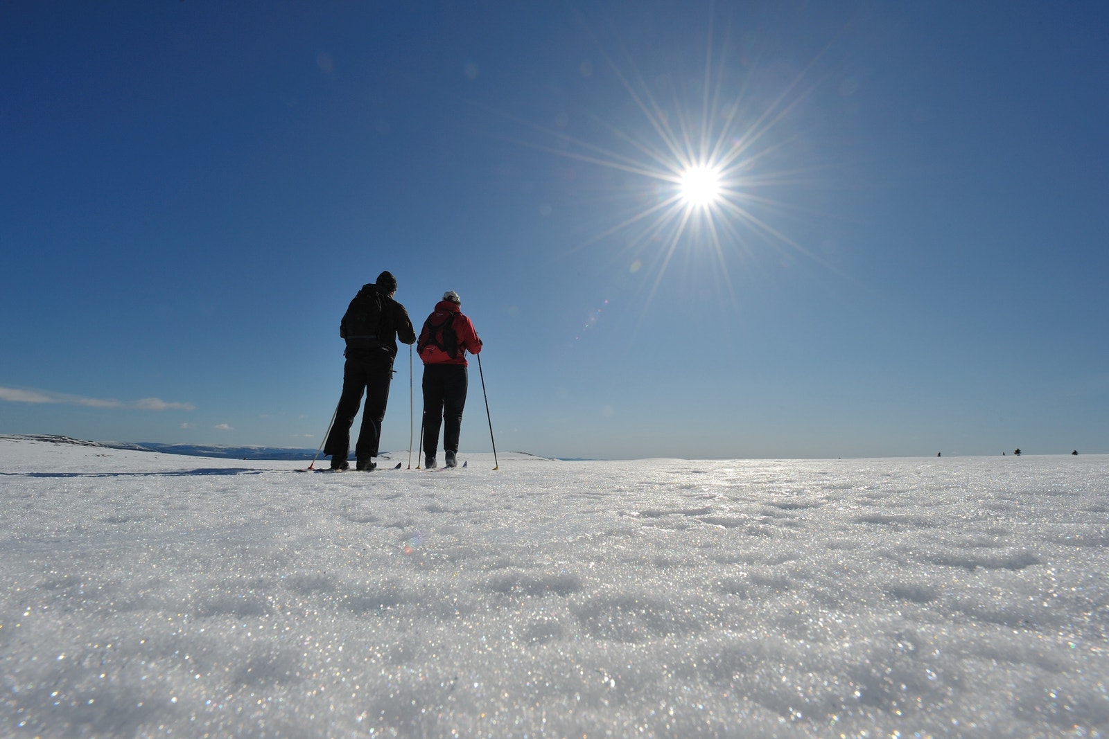 På skitur i nasjonalparken Galleribilde
