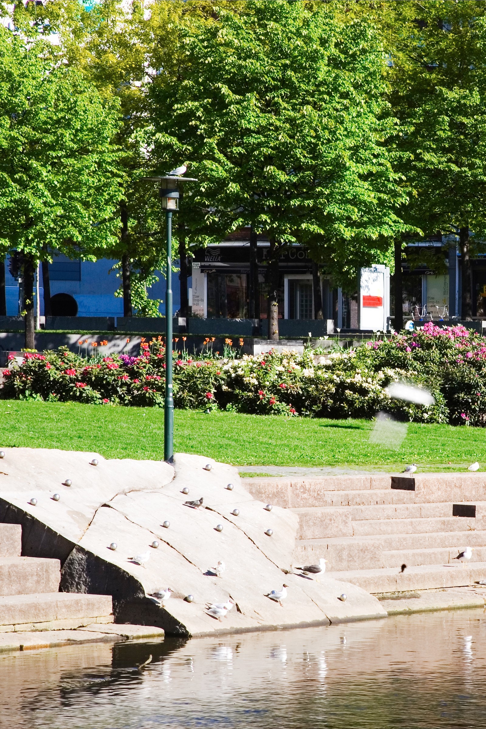 Nærområdet Galleribilde