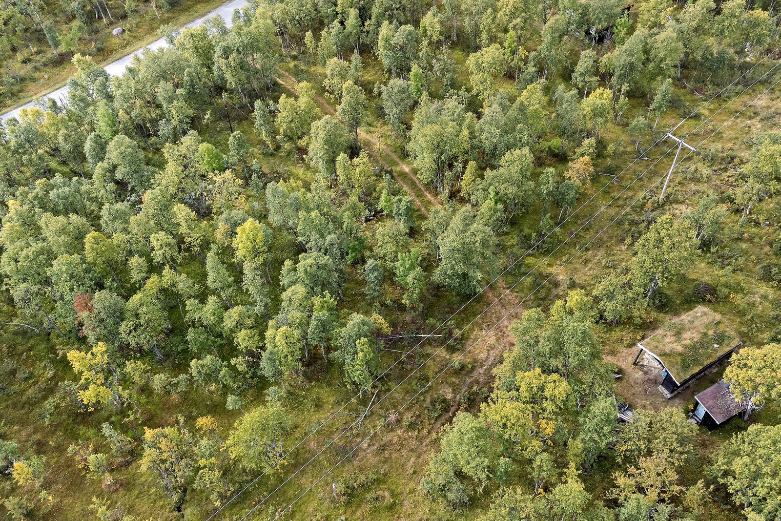 Omradebilde Galleribilde