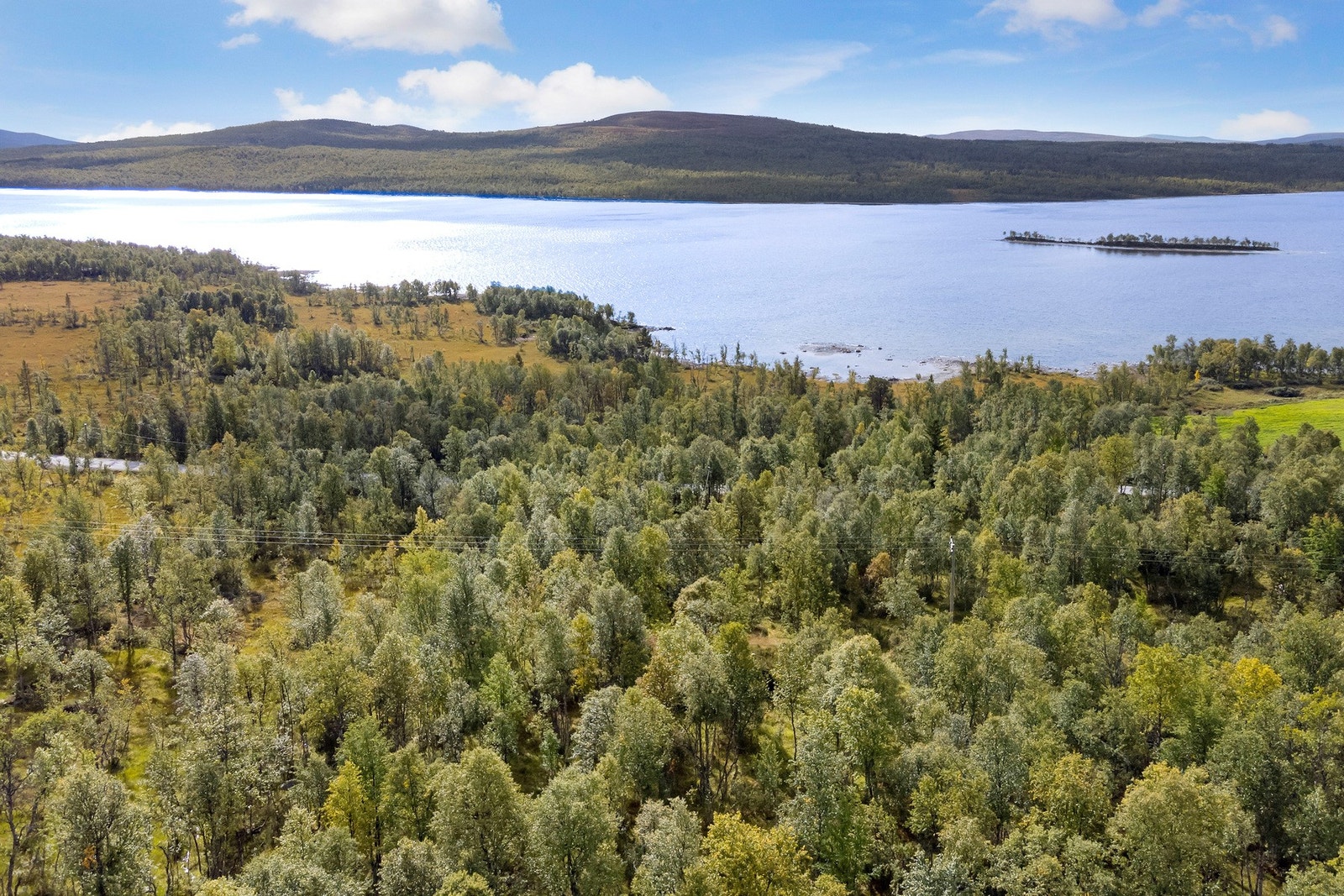 Omradebilde Galleribilde