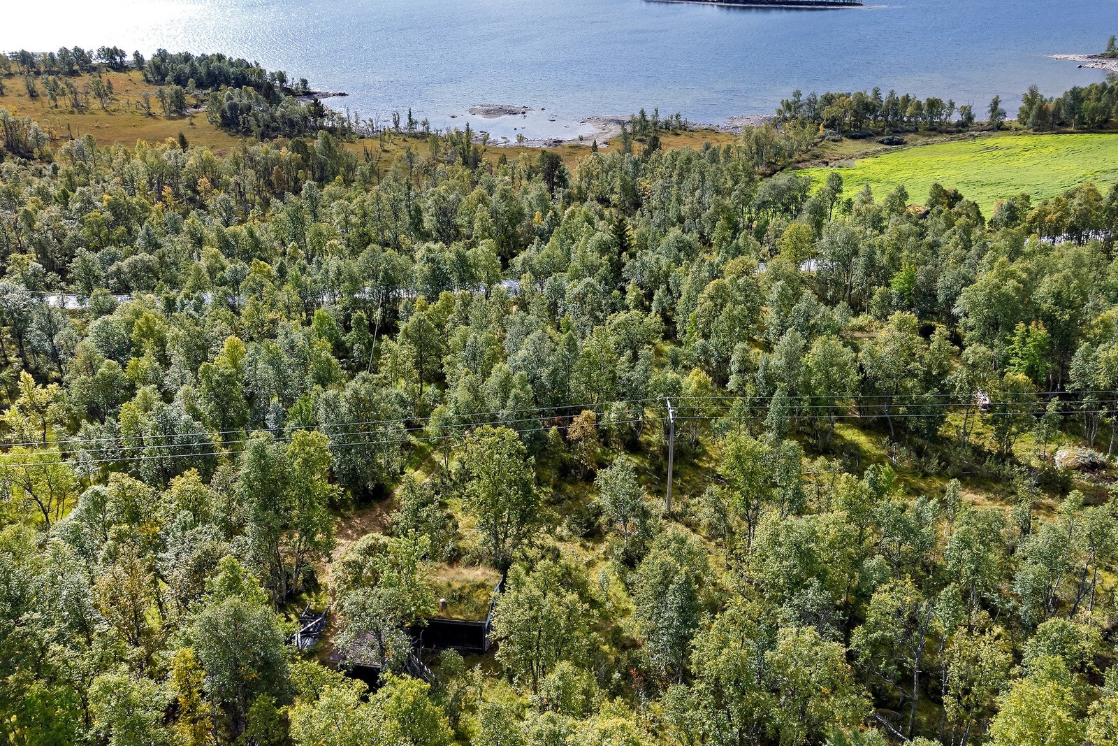 Omradebilde Galleribilde