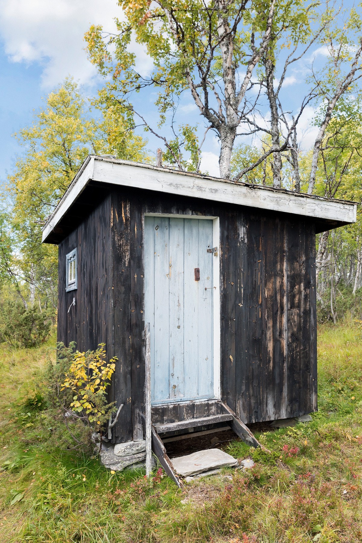 Omradebilde Galleribilde