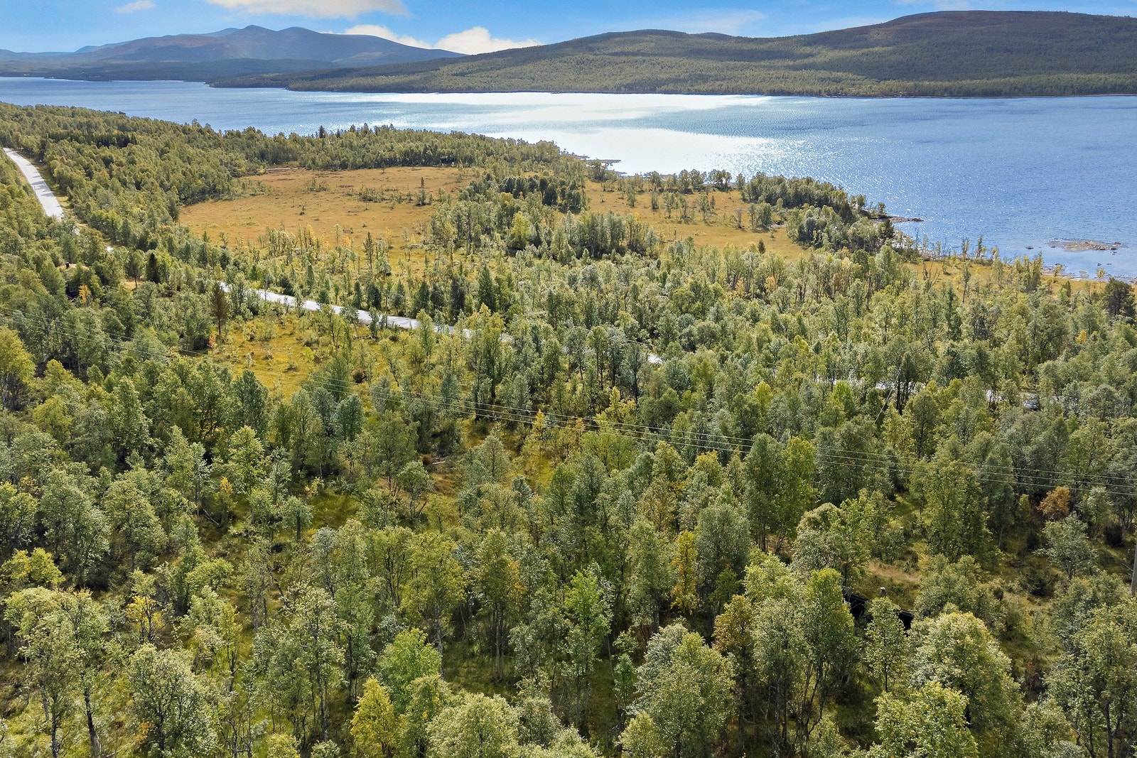 Omradebilde Galleribilde