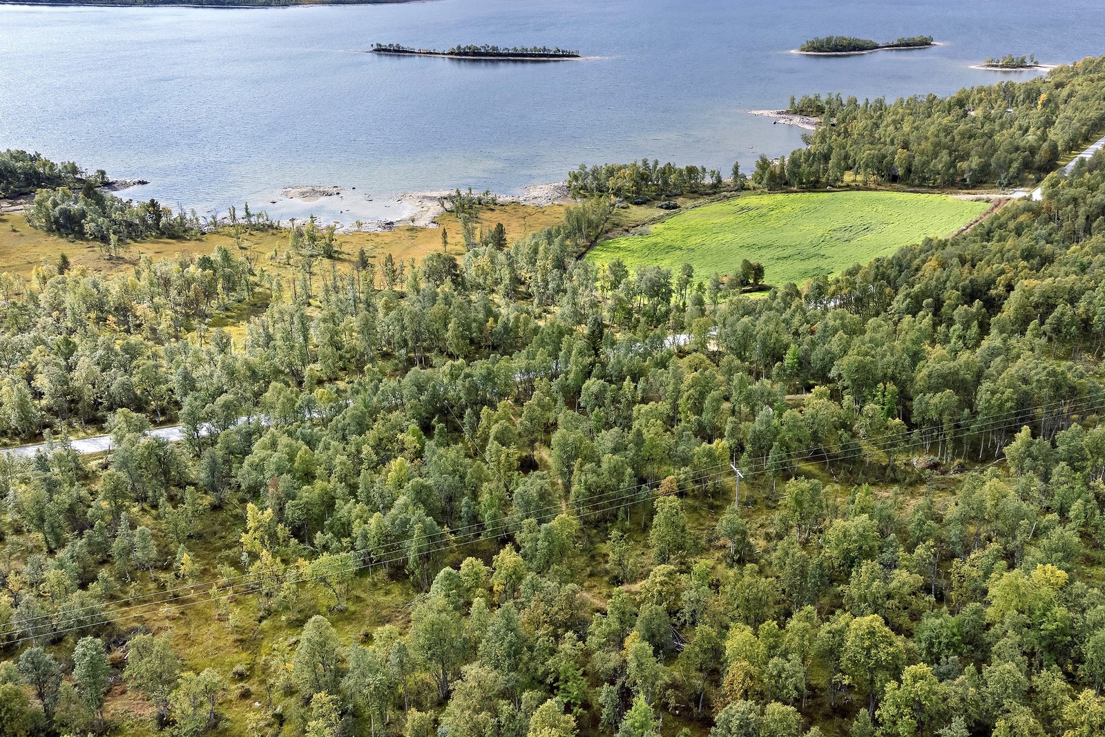 Omradebilde Galleribilde