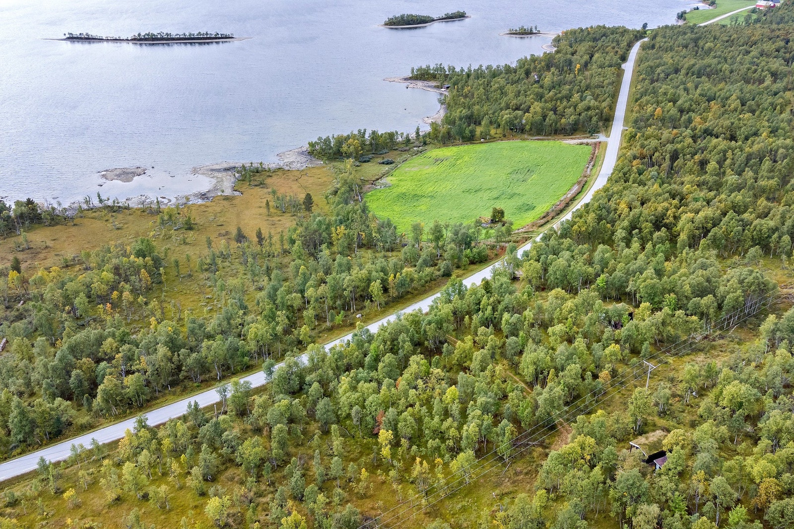 Omradebilde Galleribilde