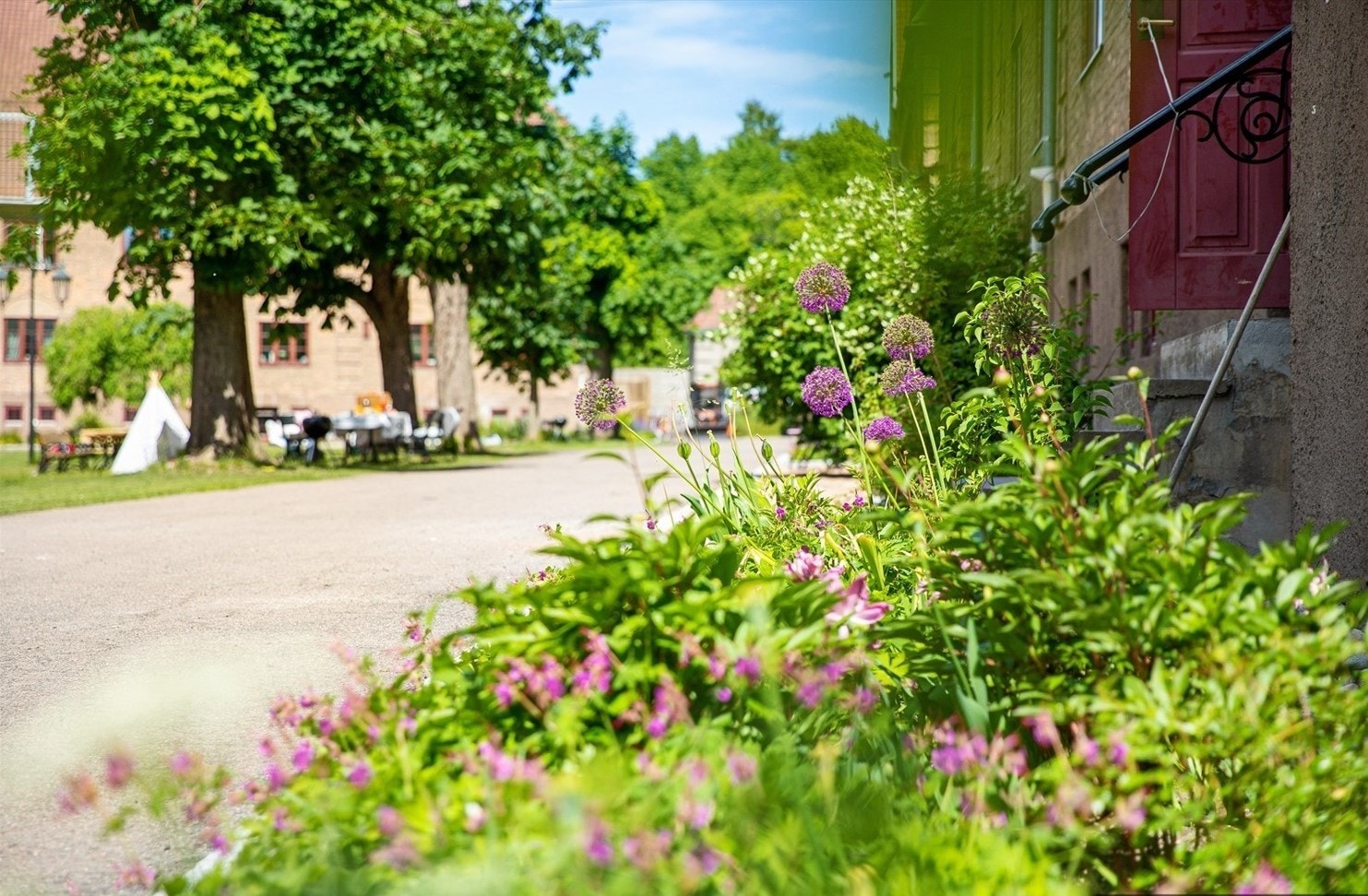 Gården ligger tilbaketrukket i stille gate med en flott bakgård skjermet for all trafikk. Galleribilde