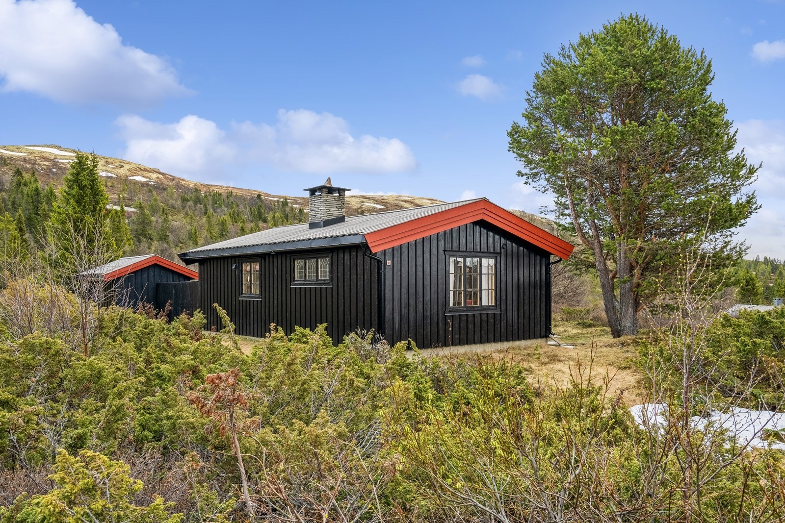 Romslig og velholdt hytte på stor tomt. Galleribilde