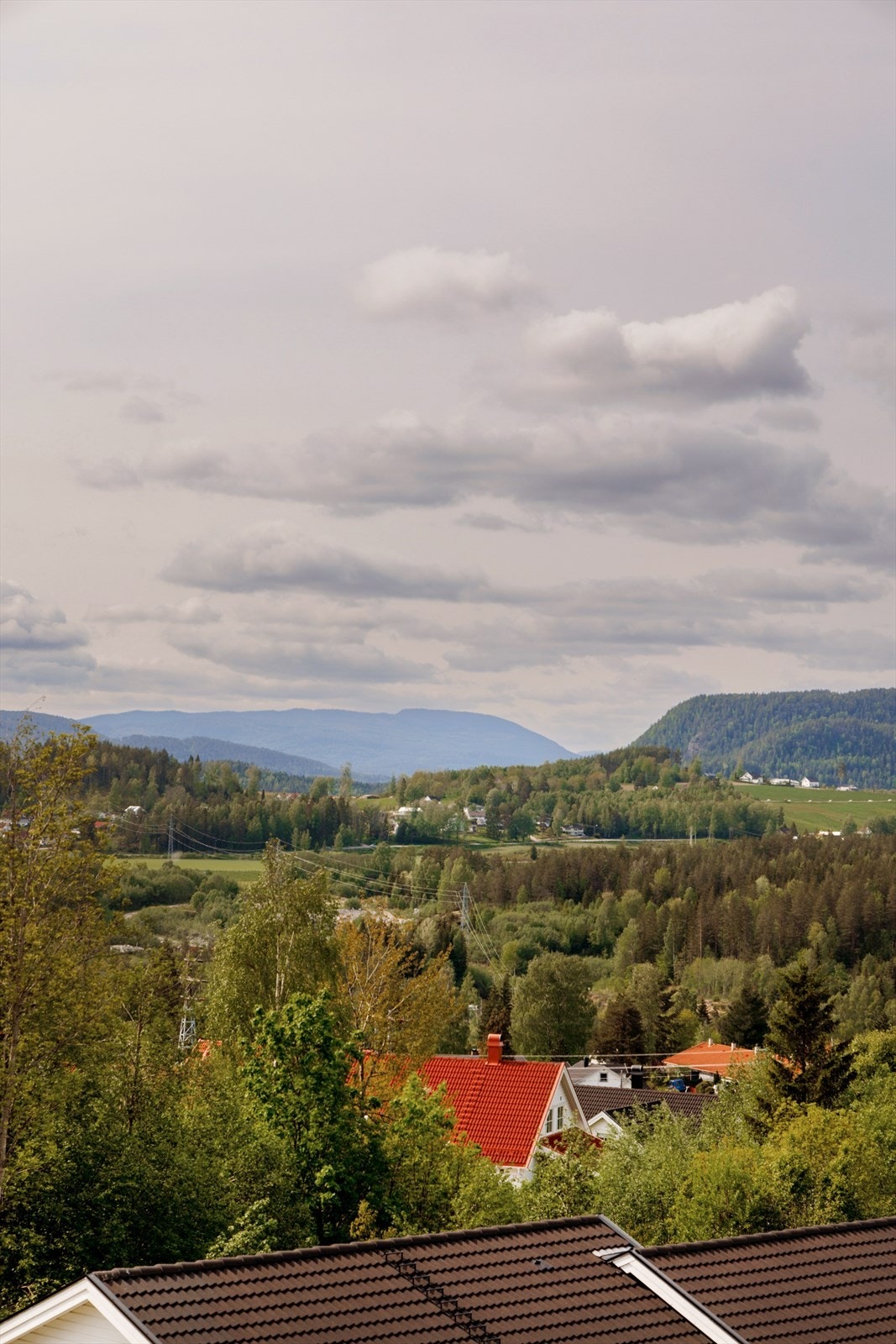 Utsikt Galleribilde