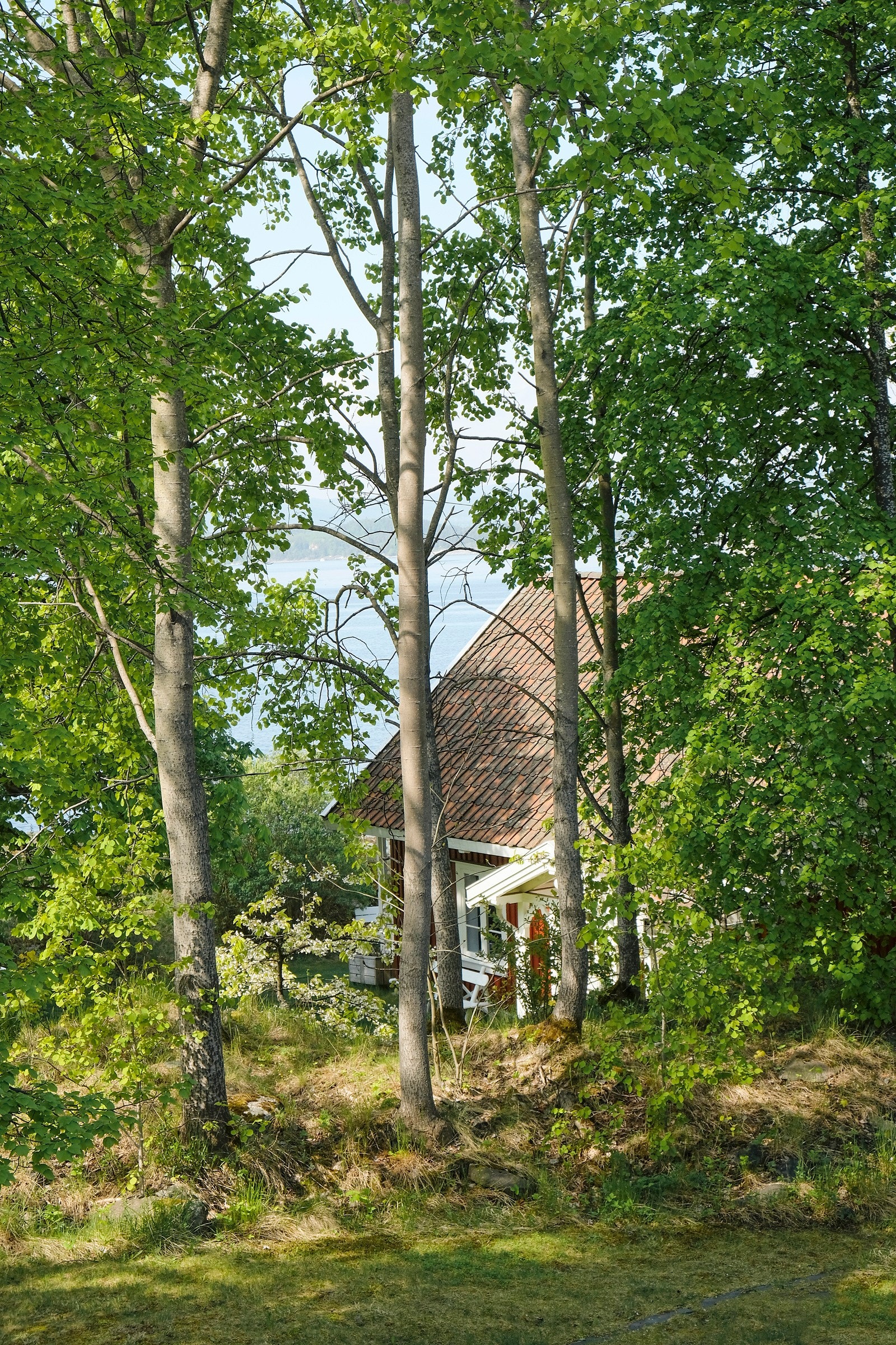 Adkomst fra egen parkering ved veien (plass til 2-3 biler). Galleribilde