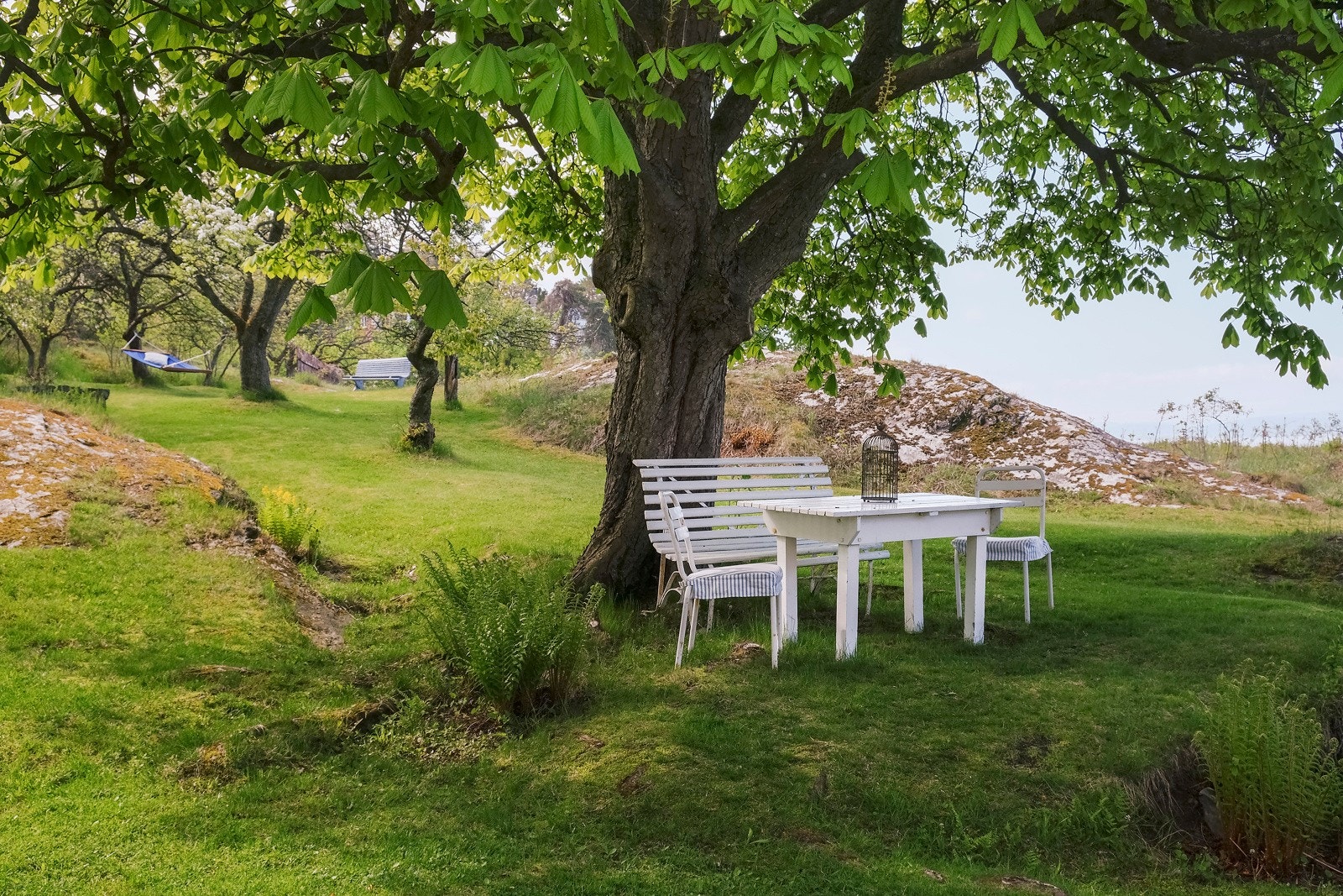 Gammelt tuntre gir lun skjerming. Galleribilde