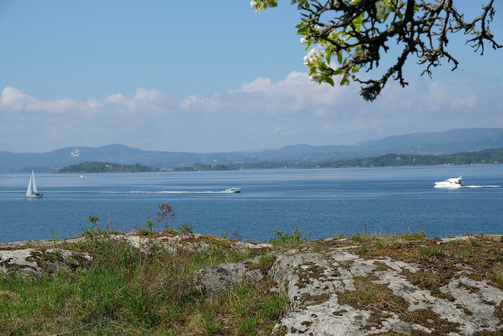 Orkesterplass til båttrafikken på fjorden. Galleribilde