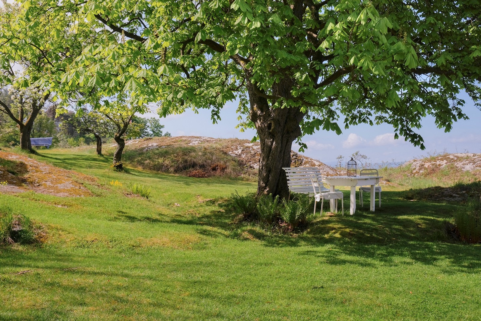 Variert topografi med gressplener, fjellknauser, og frodig vegetasjon preger eiendommen - alt med Oslofjorden som bakgrunn. Galleribilde