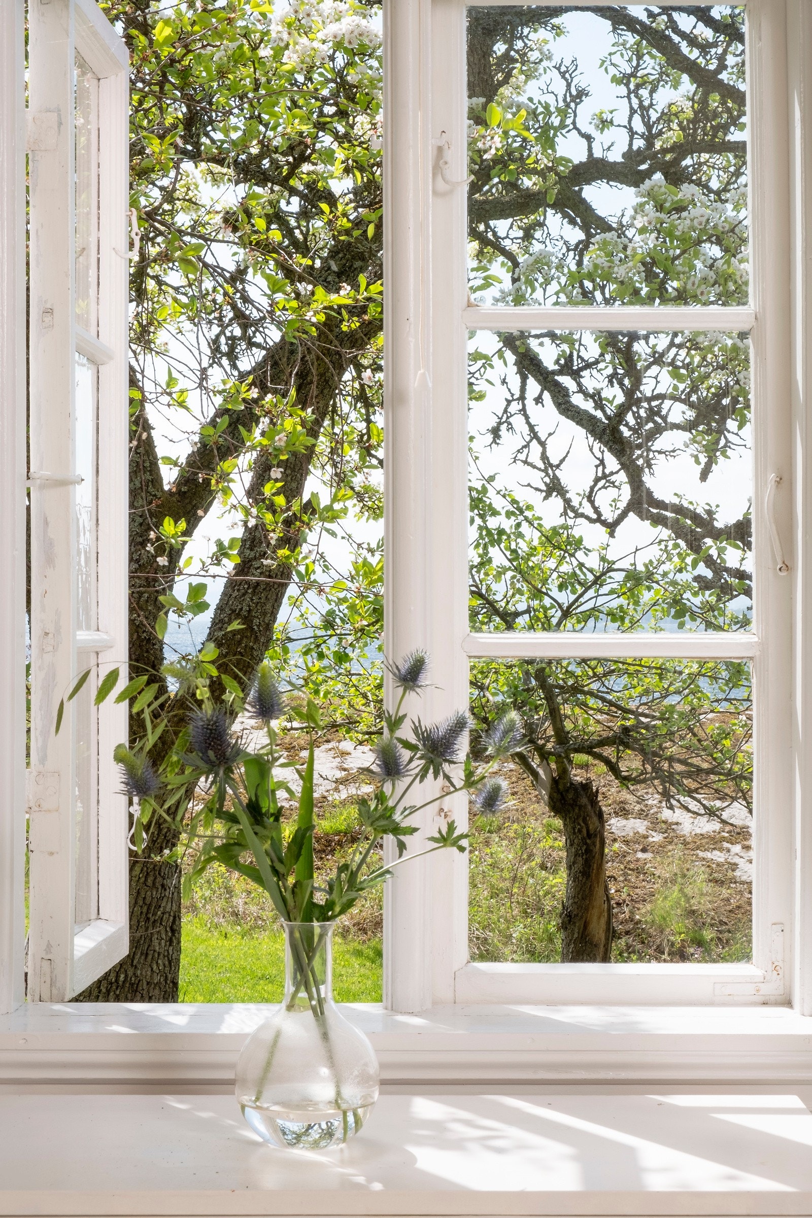 Jadda !! Galleribilde