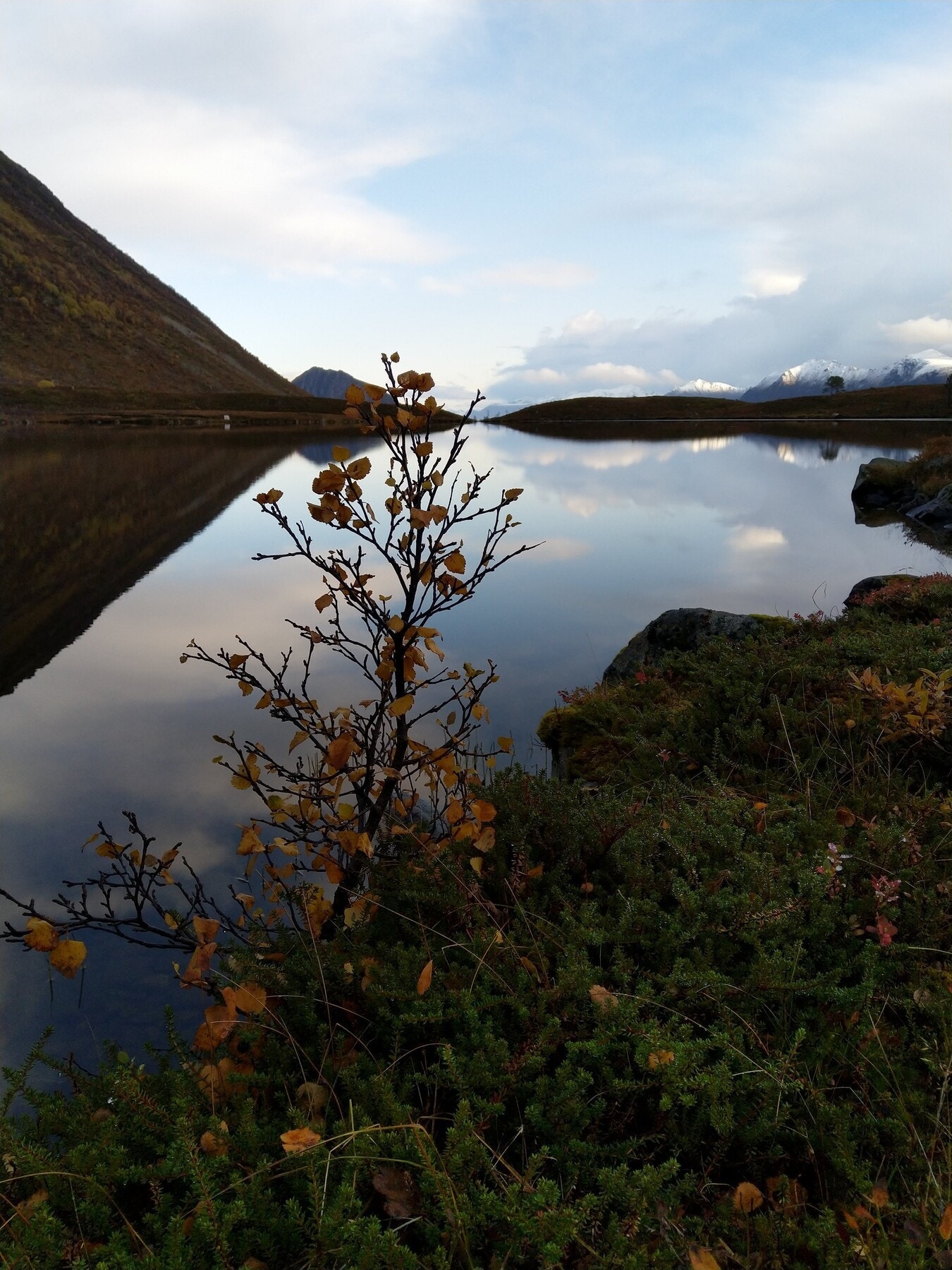 Selgers bilde - områdebilde Galleribilde