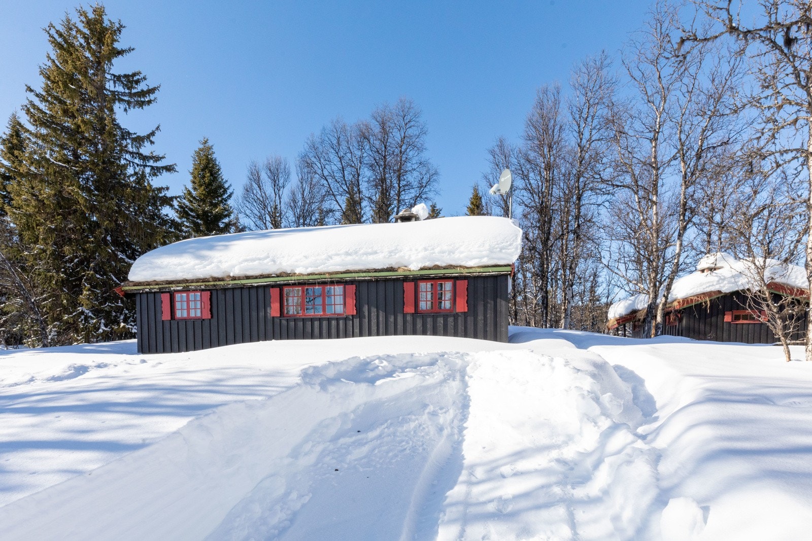 Velkommen til visning Galleribilde