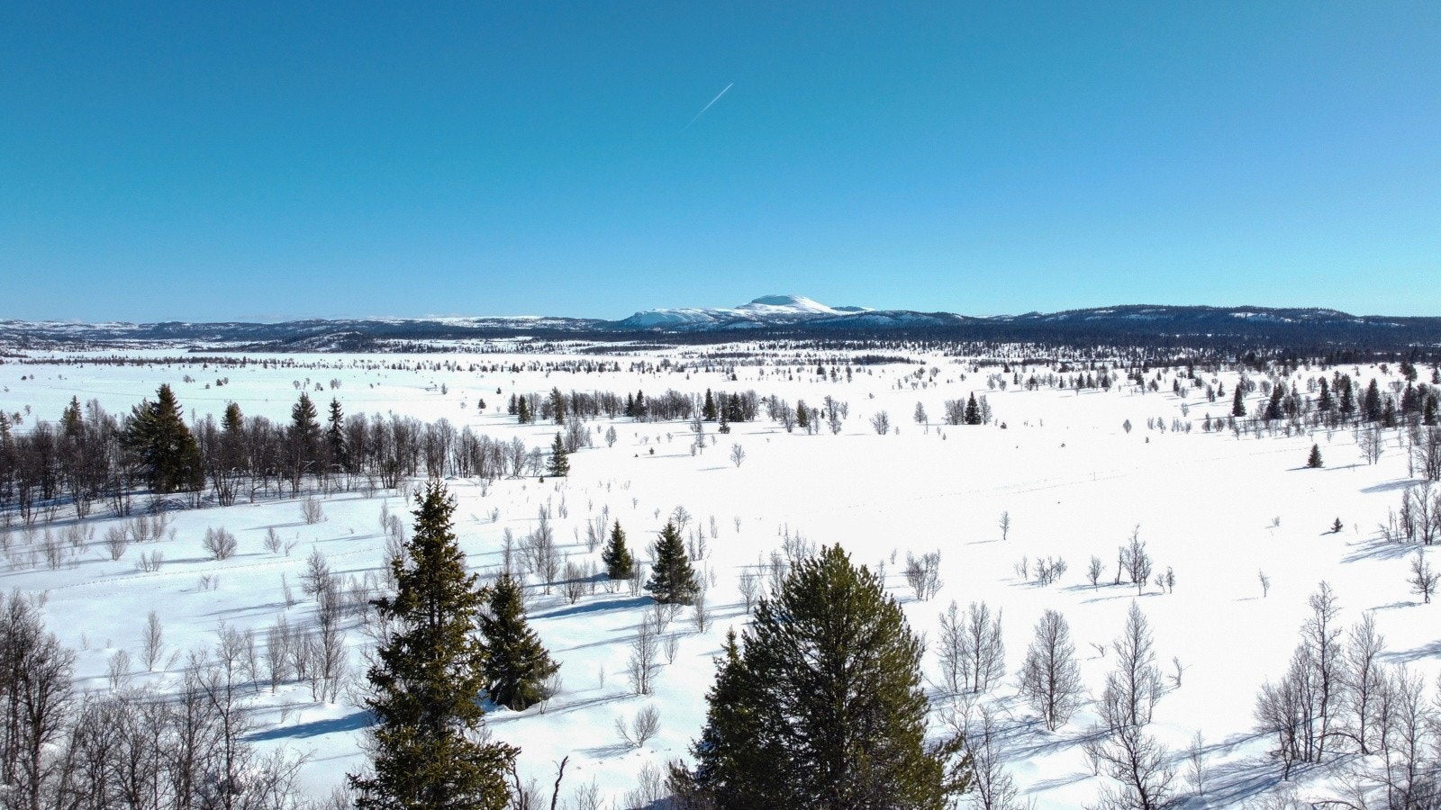 Det er mange fine turområder året rundt med utgangspunkt fra hyttedøren eller korte kjøreturer fra hytta Galleribilde