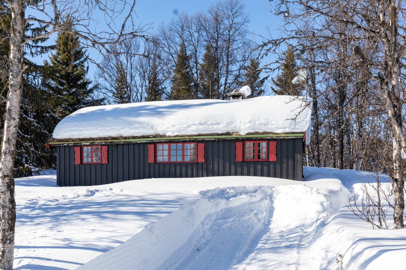 Parkering på egen tomt Galleribilde