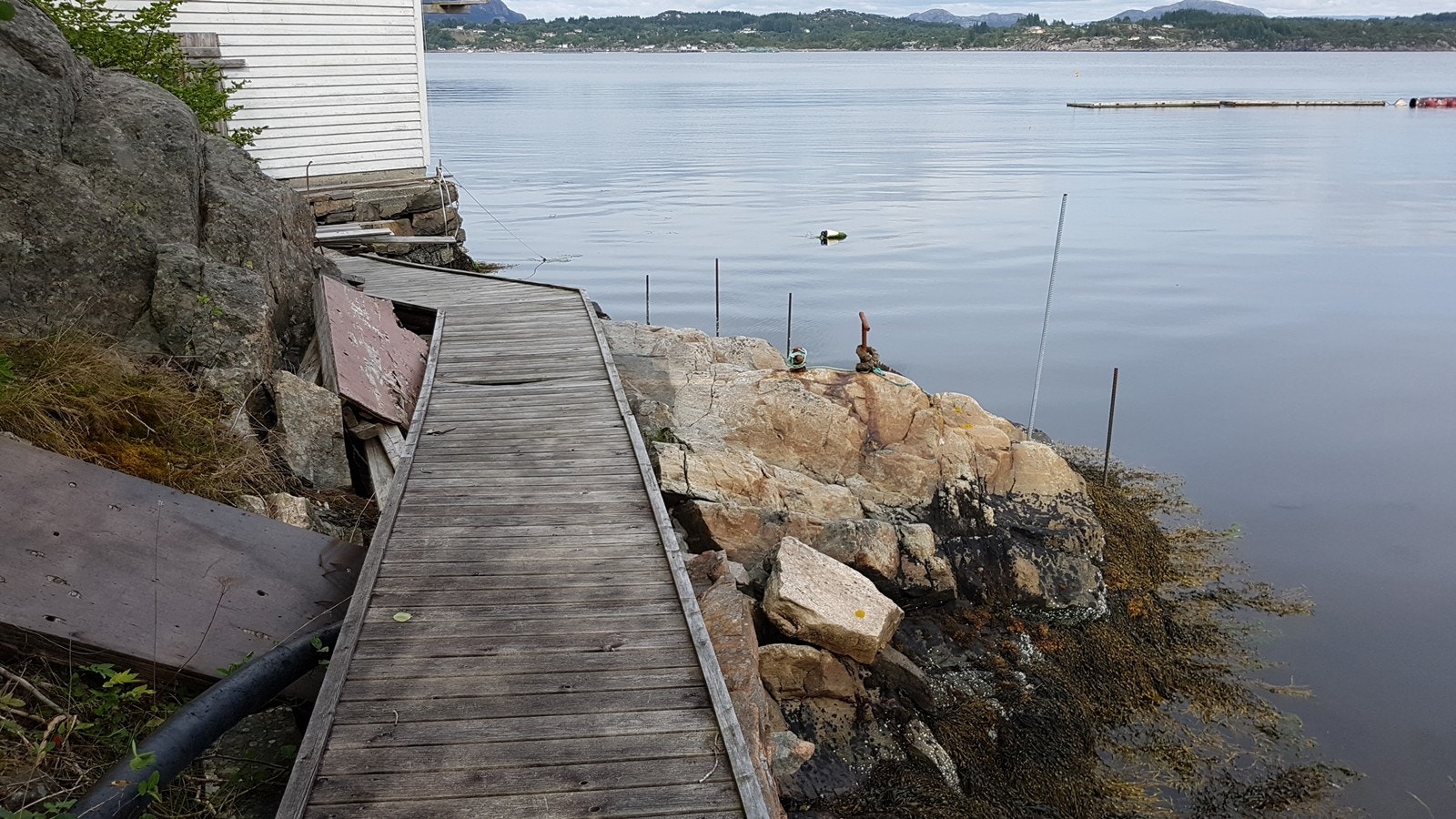 Gangbane mot nausttomt Galleribilde