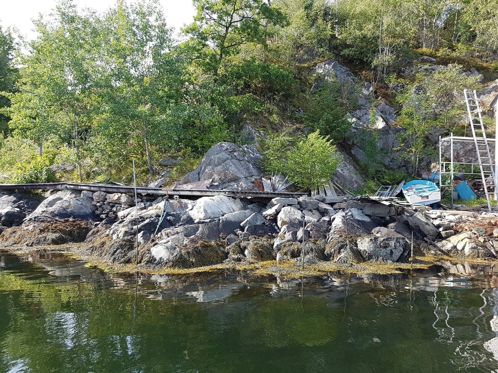 Naustetomt. Galleribilde