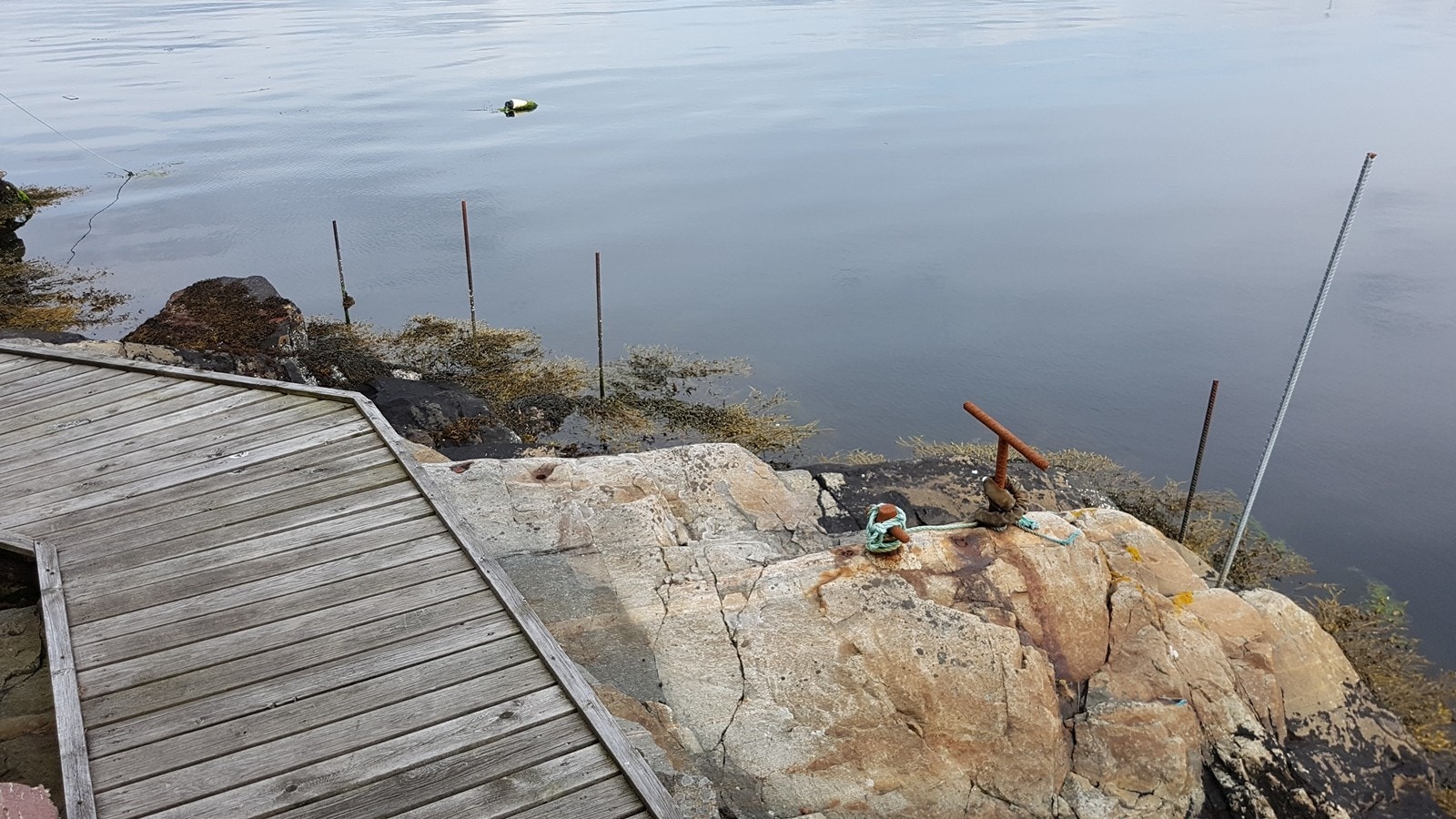 Nausttomt. Galleribilde