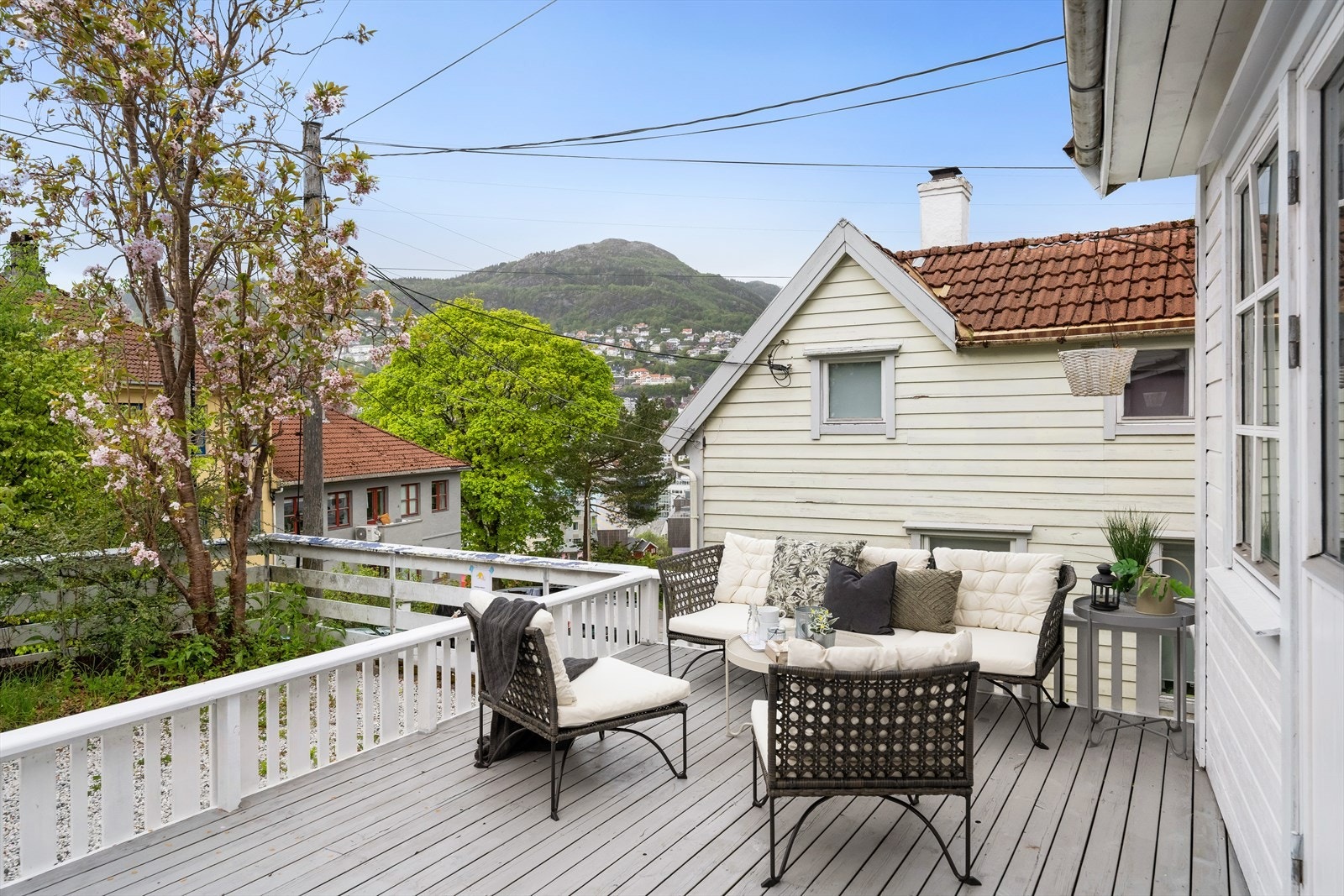 Flott utsikt mot Fjellsiden Sør Galleribilde