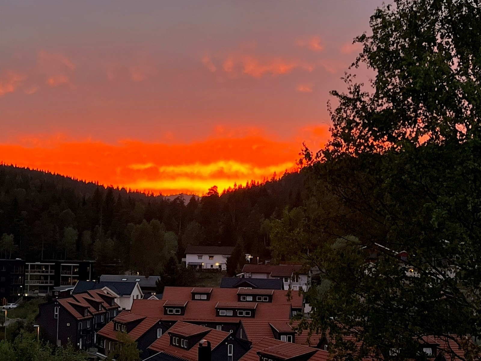 Solnedgang fra verandaen Galleribilde