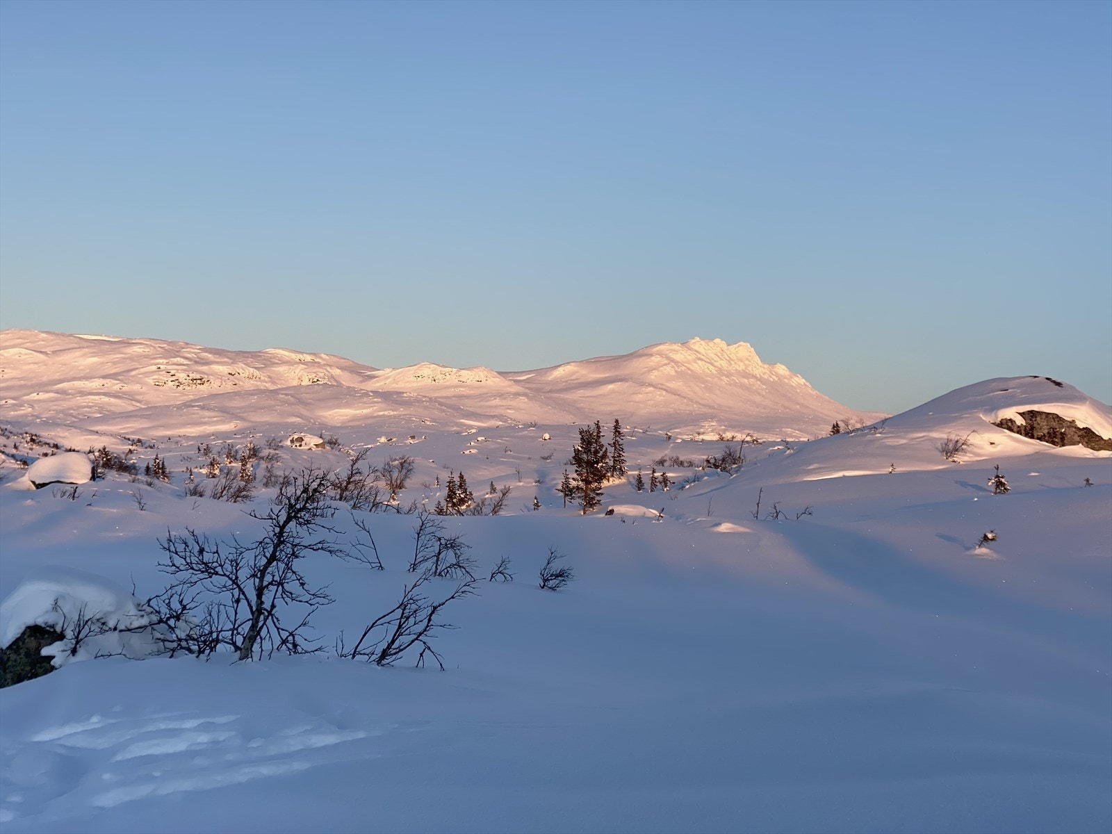På Tempelseter er det som regel gode snømengder på vinterstid og flotte muligheter for langrenn og alpint. Bildet tilhører selger. Galleribilde