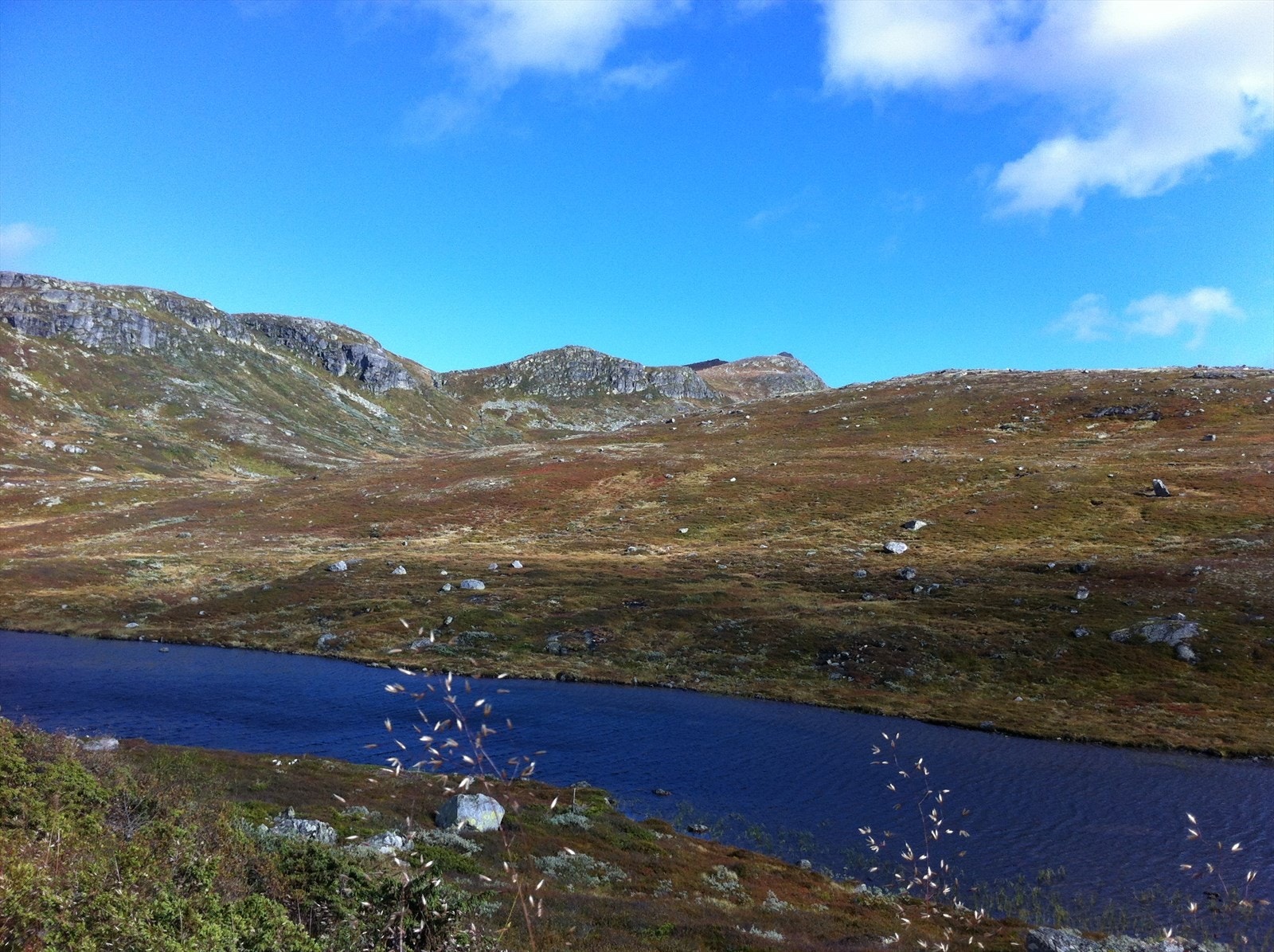 Nærområdet byr også på flotte og varierte turmuligheter på sommerstid. Bildet tilhører selger. Galleribilde