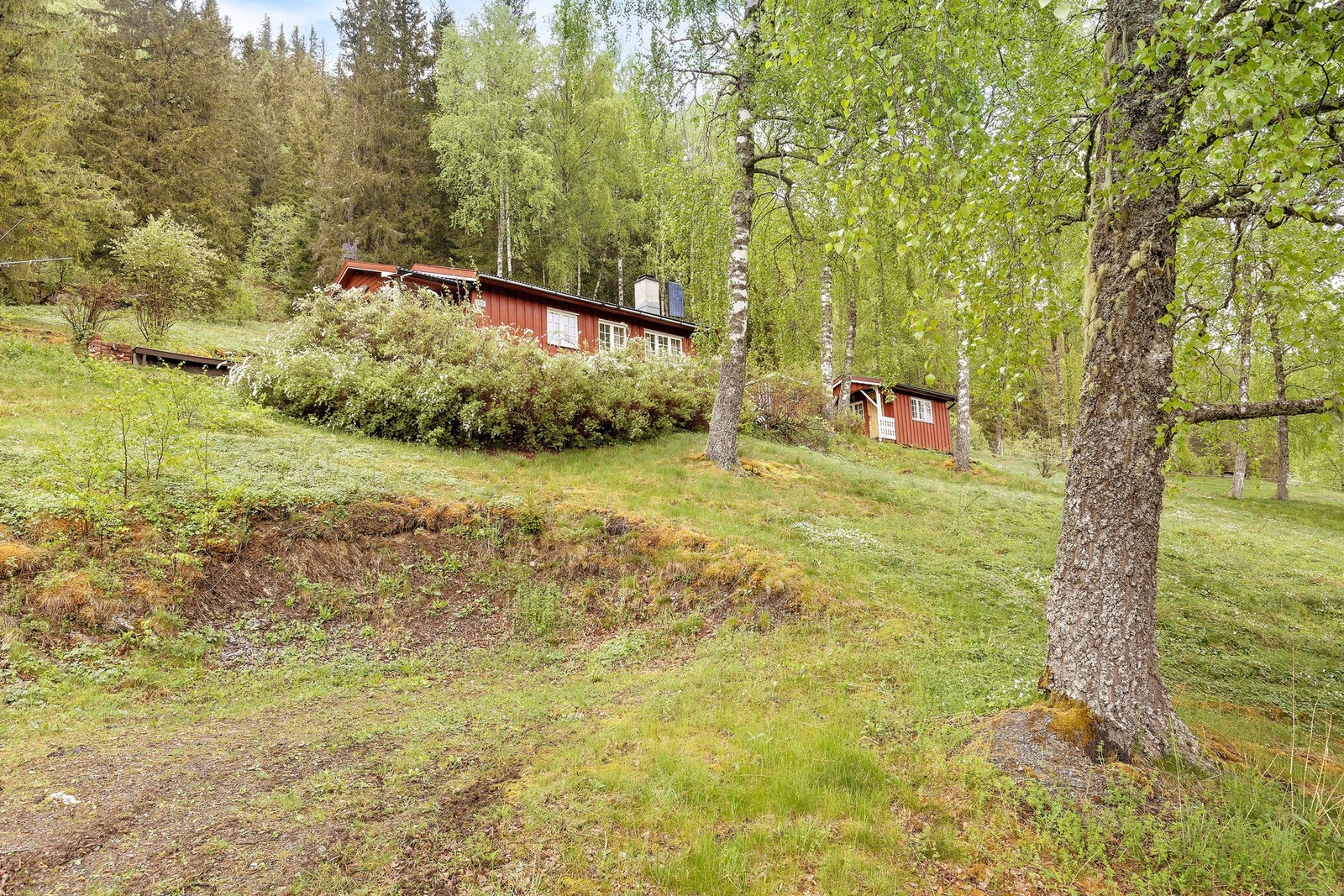 Hytta sett fra parkeringsplassen. Galleribilde