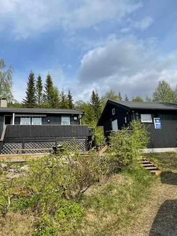 1FB76D0B-3318-4C33-B632-838FFB8F3C79.jpeg Galleribilde