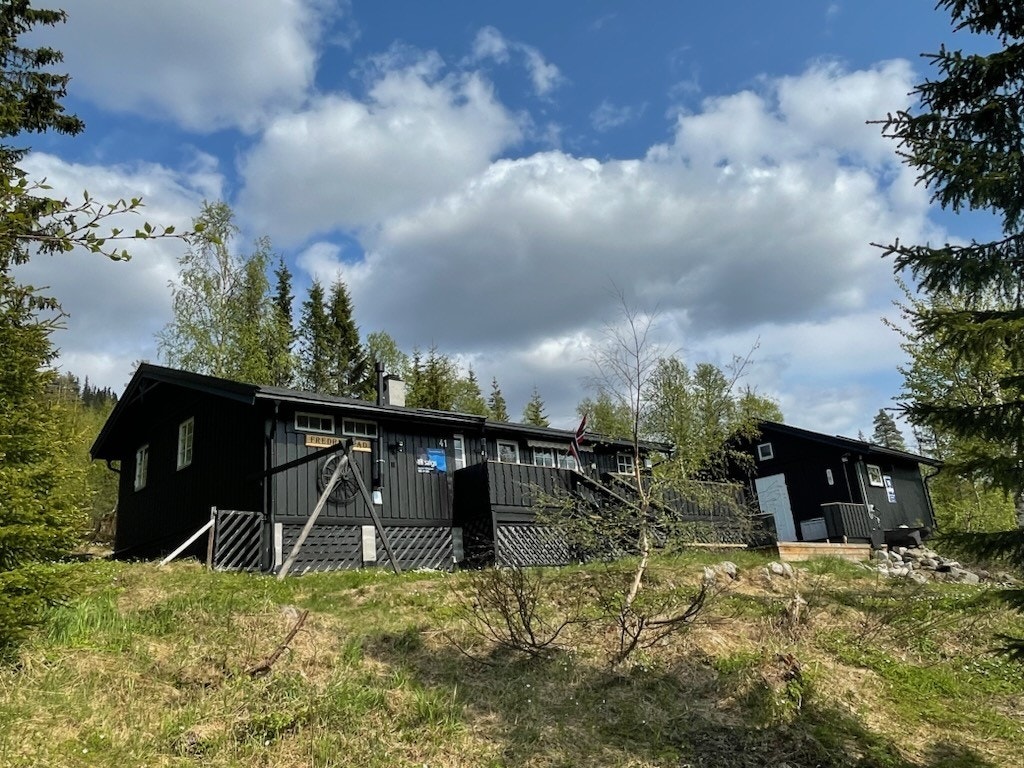 12471426-6988-4EA0-A66F-27CD404D4A06.jpeg Galleribilde