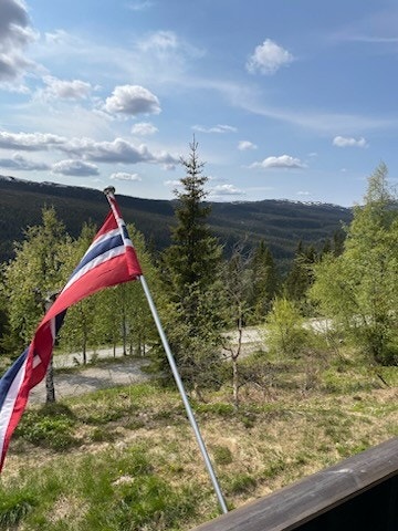 D7DA705C-C7D7-4E83-91F2-7C007B75CCD9.jpeg Galleribilde