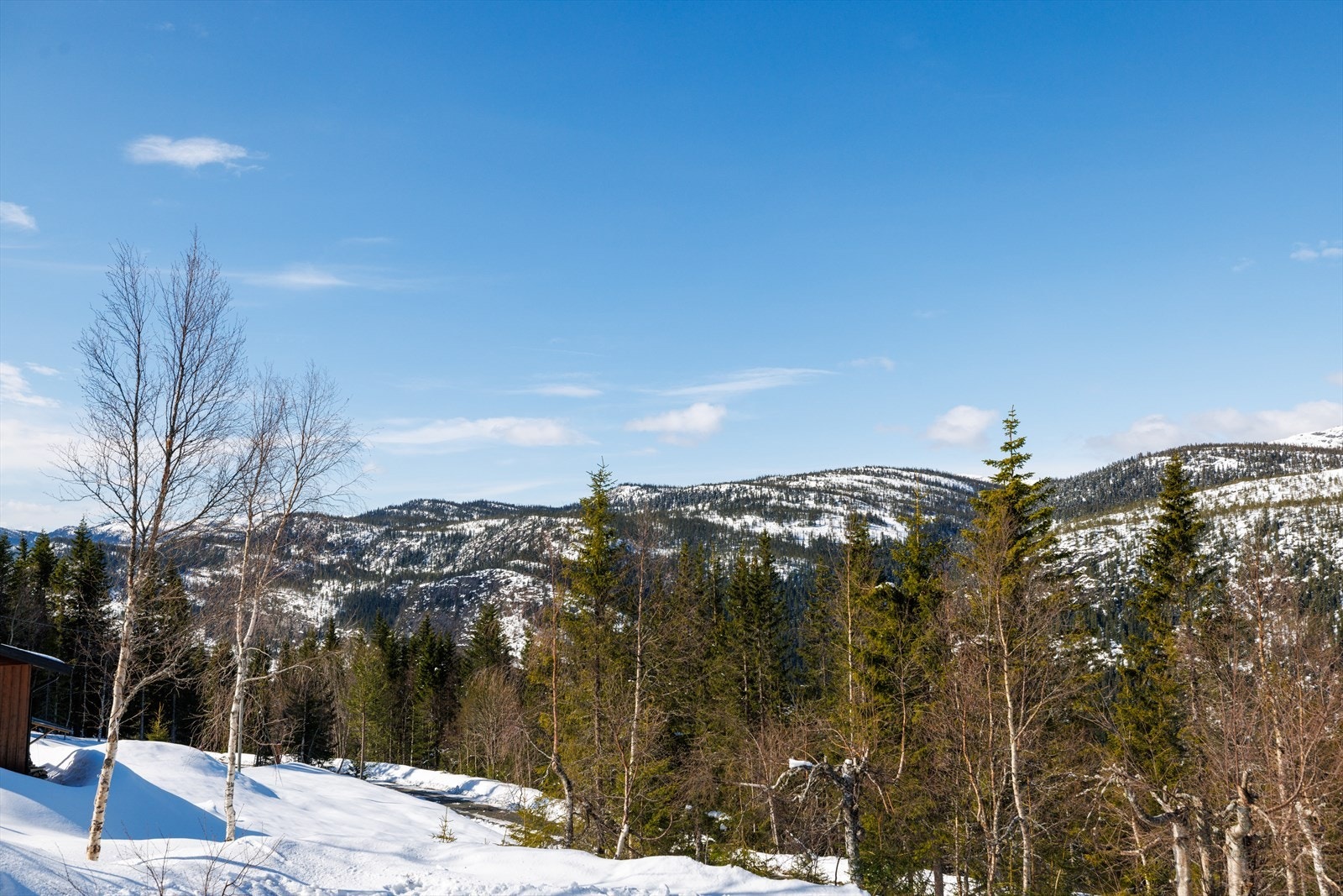 Hytta ligger fint til med umiddelbar nærhet til variert turterreng sommer som vinter. Galleribilde
