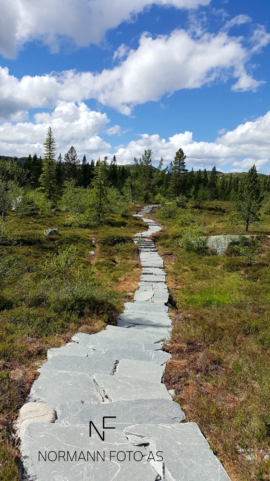 Madonnastatuen_Bjonneskortanatten (3).jpg Galleribilde