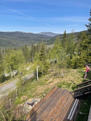 F6E56371-064B-47FA-ADAE-6F866CEA2468.jpeg Galleribilde