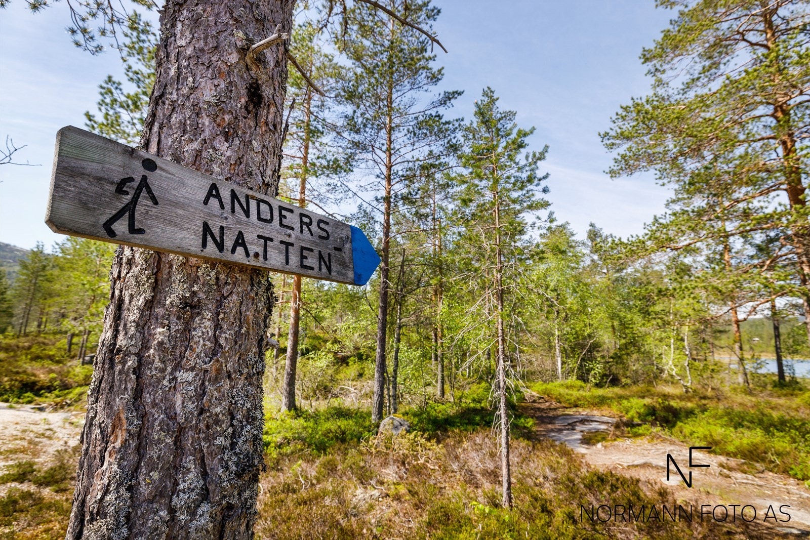 Andersnatten_sigdal (1).jpg Galleribilde