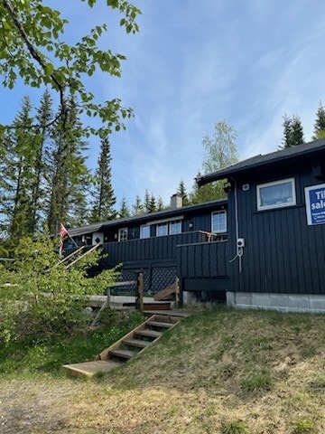 CBDB62EA-993F-4A8E-9F83-401E71E61597.jpeg Galleribilde