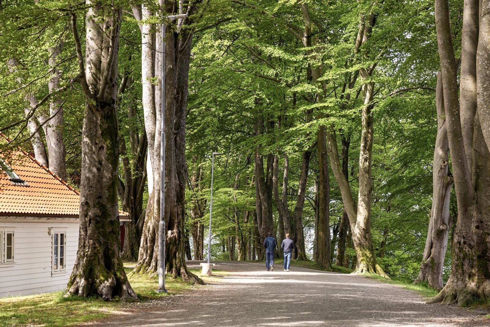 Nordnesparken, parkområdet ved Fredriksberg og andre rekreasjonsområder ligger like i nærheten. Perfekte steder for trening og hygge når solen titter frem. Galleribilde